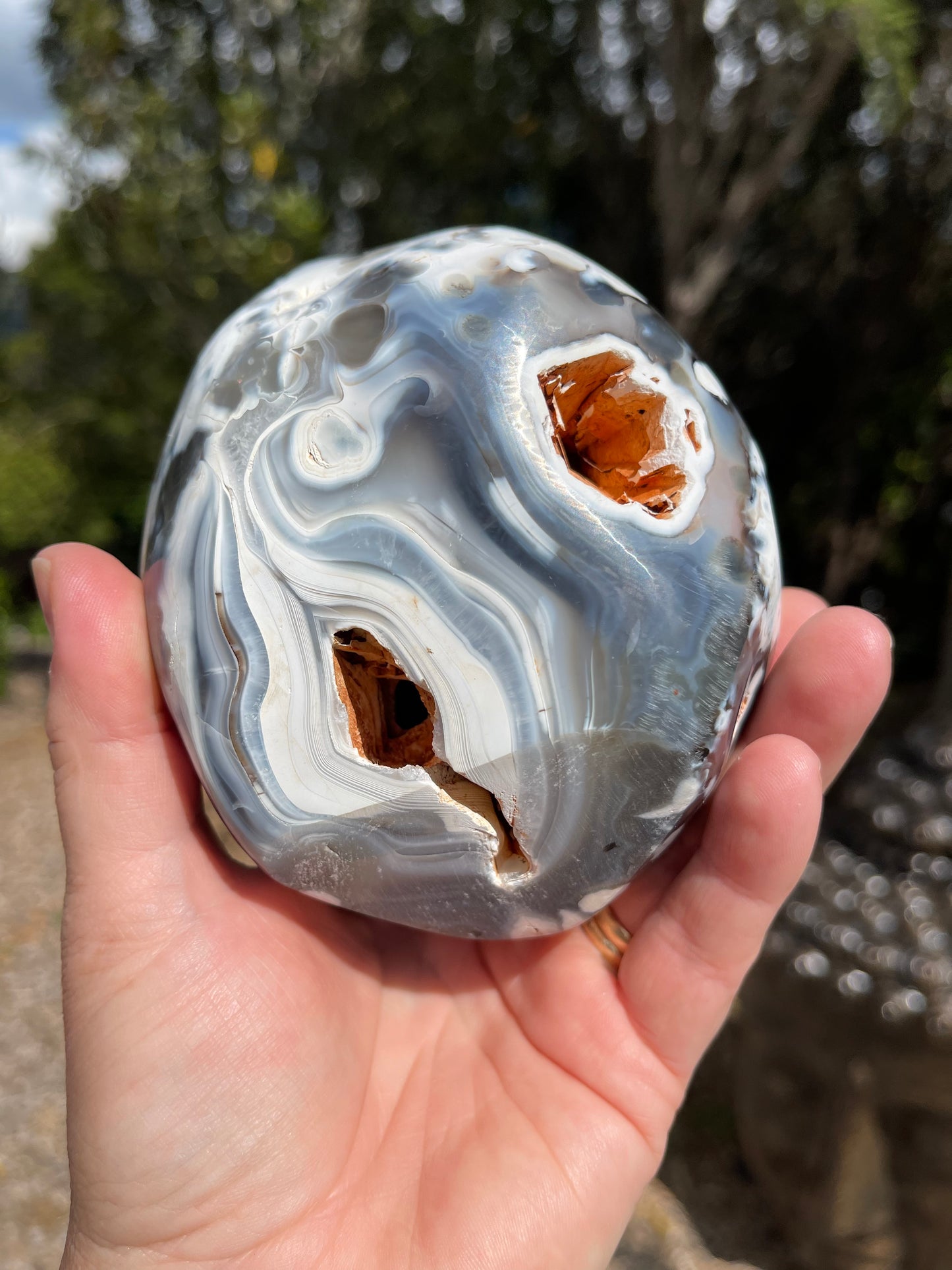 Orca Agate Freeform