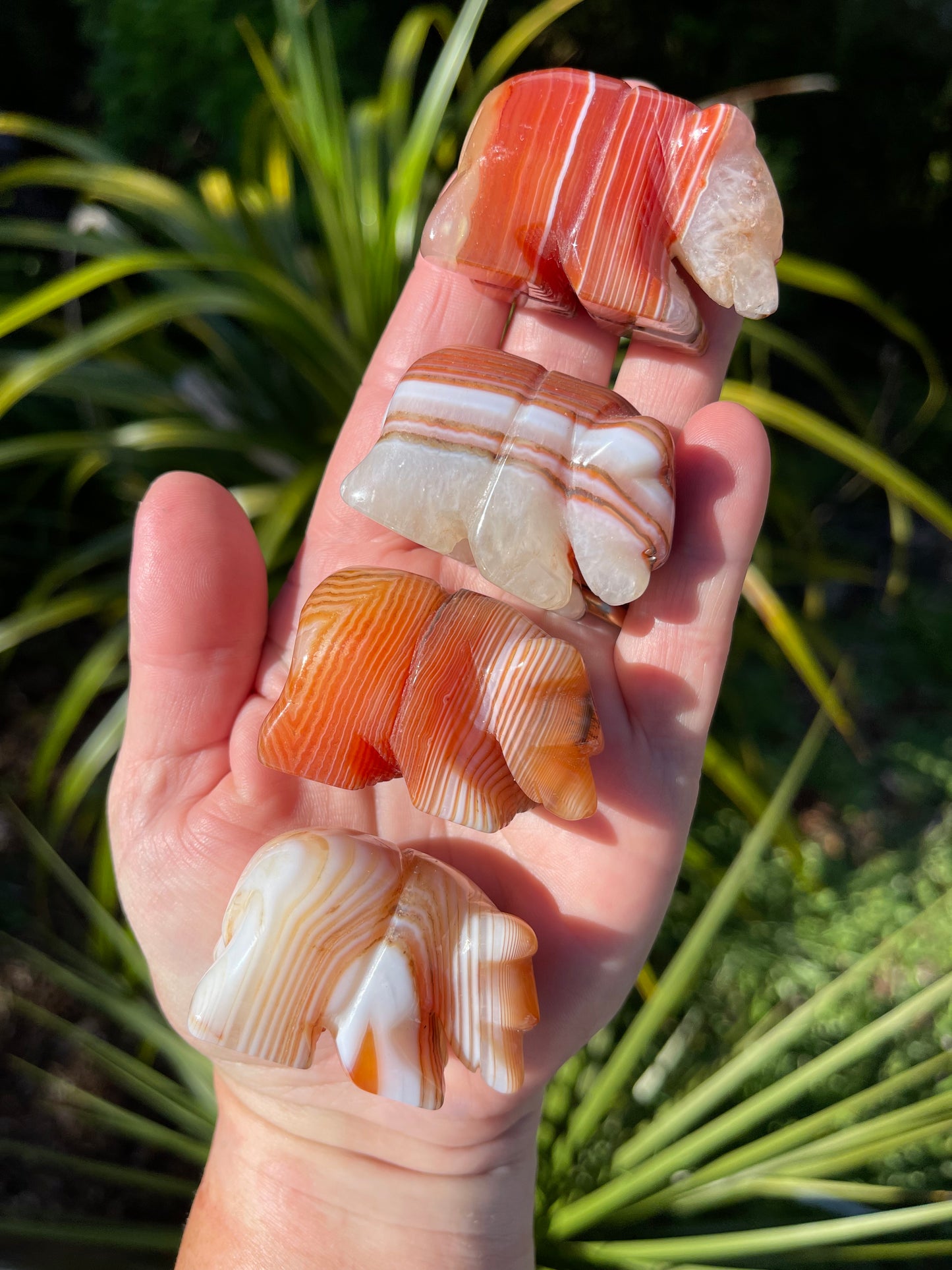 Carnelian Agate Banded Agate Bear