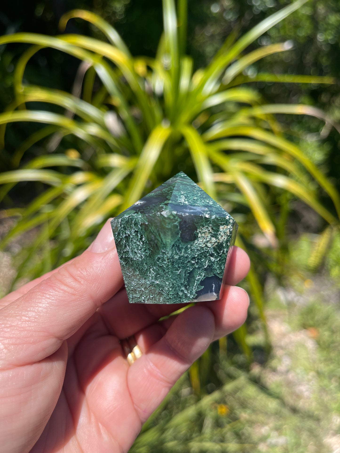 Moss Agate Point