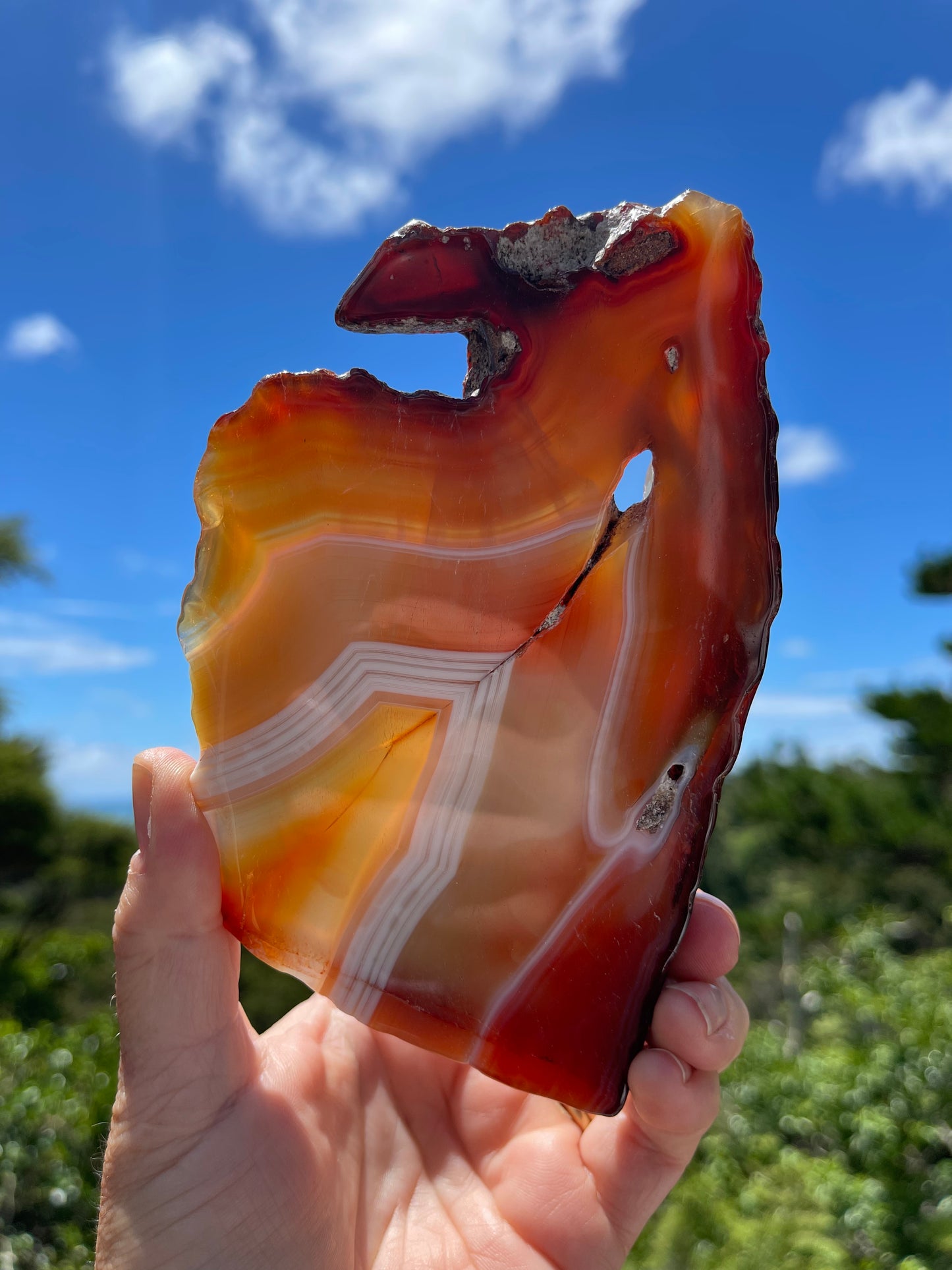 Carnelian Agate Slice