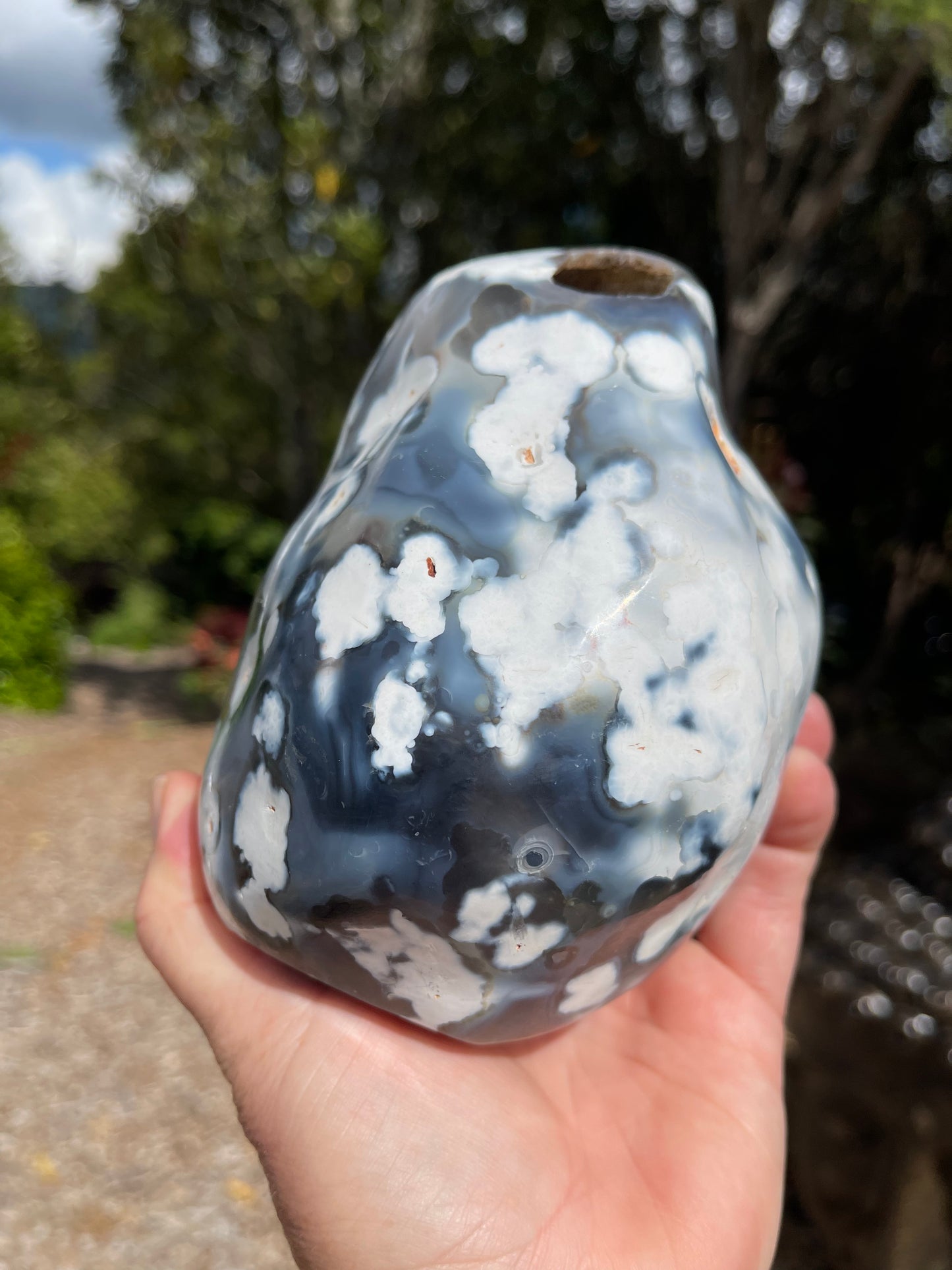 Orca Agate Freeform