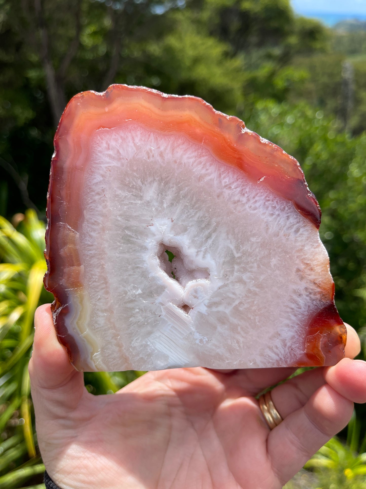 Carnelian Agate Slice