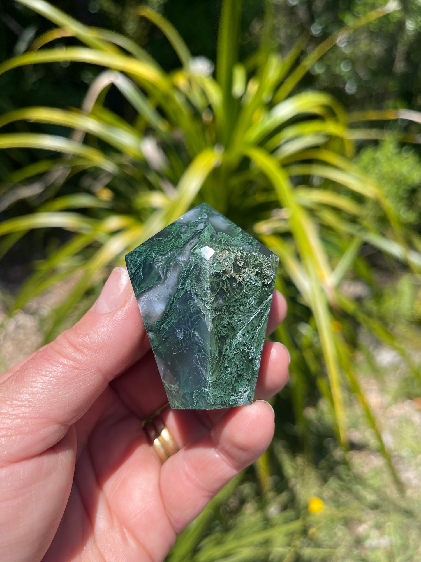 Moss Agate Point