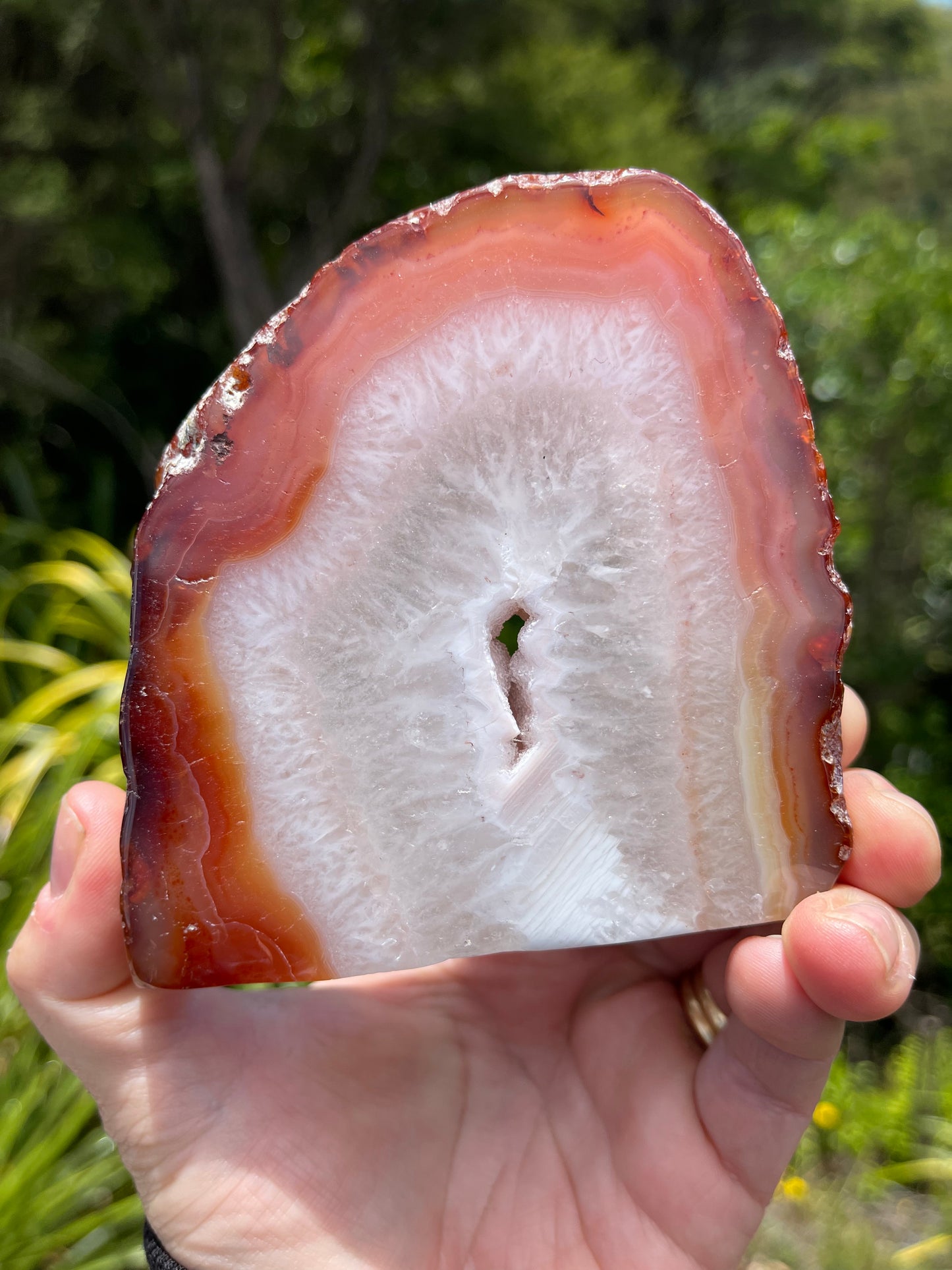 Carnelian Agate Slice