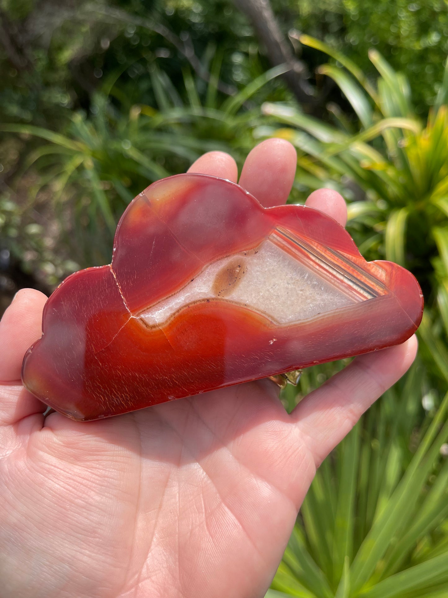 Carnelian Cloud