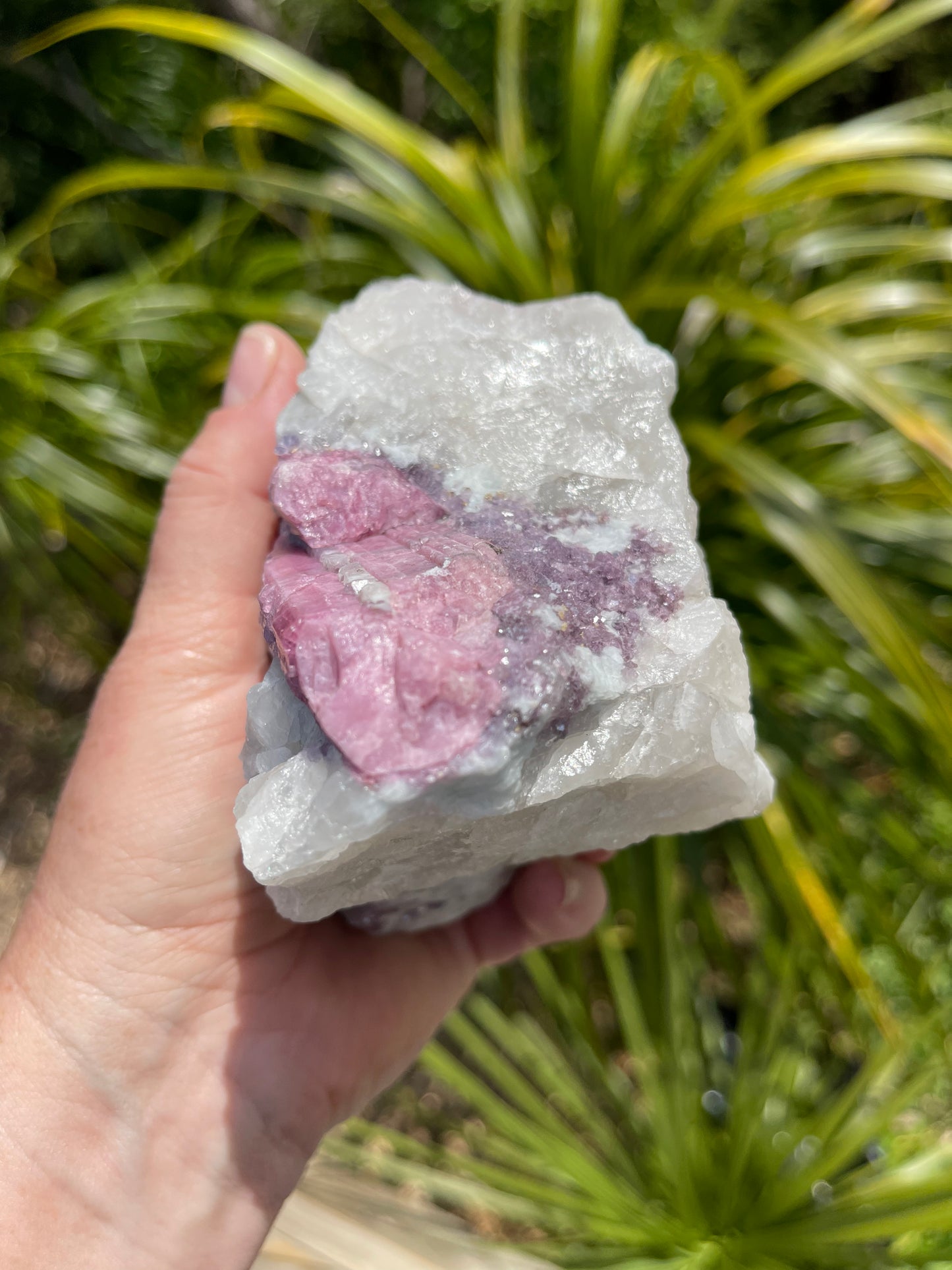 Pink Tourmaline, lepidolite and Muscovite in Quartz