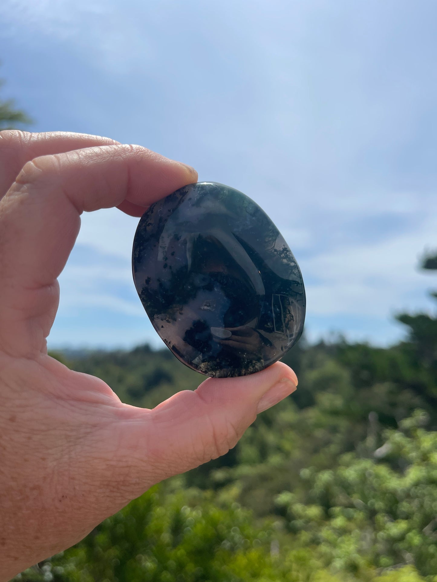 Moss Agate Palm Stone
