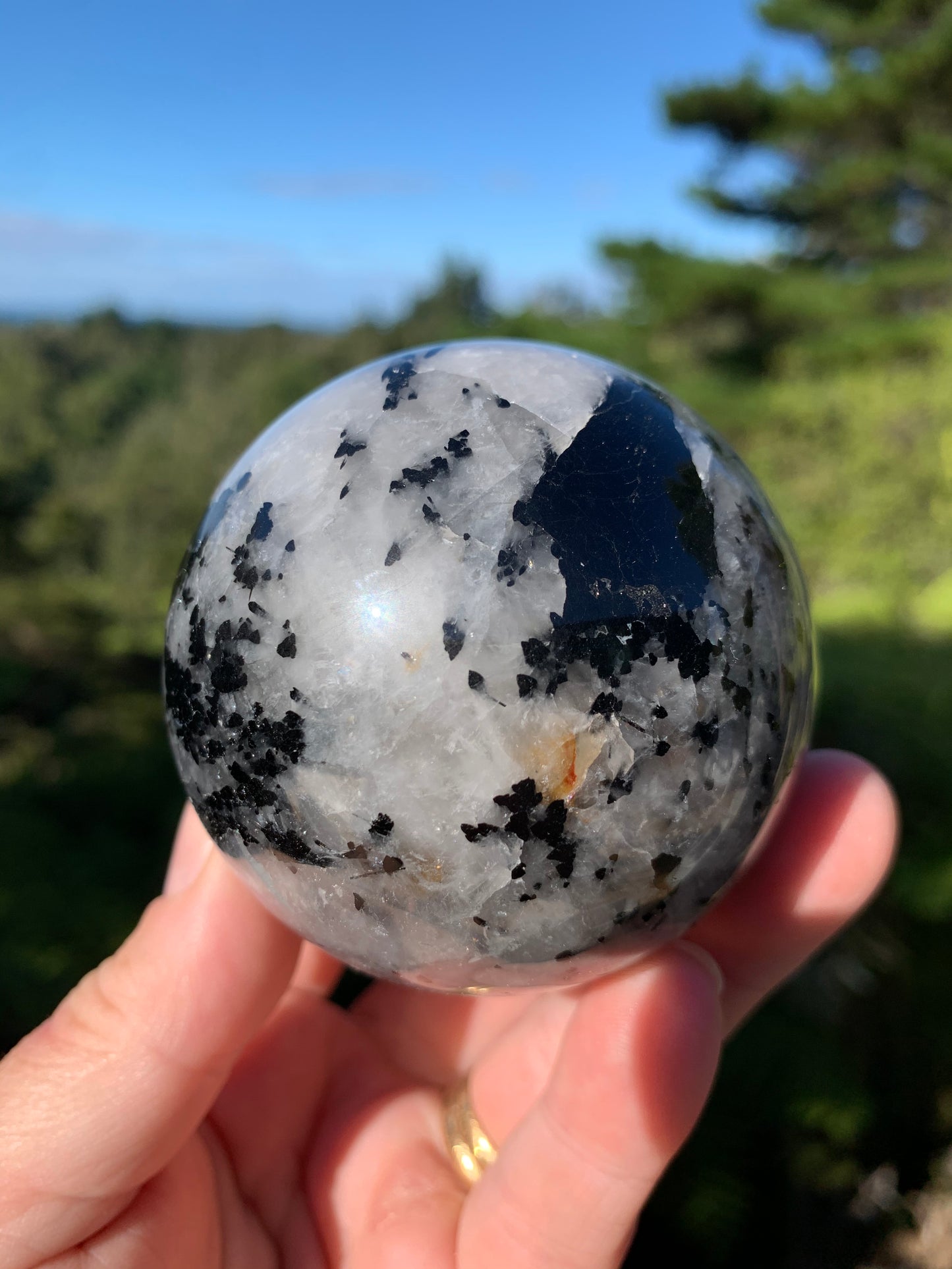 Black Tourmaline in Quartz Sphere