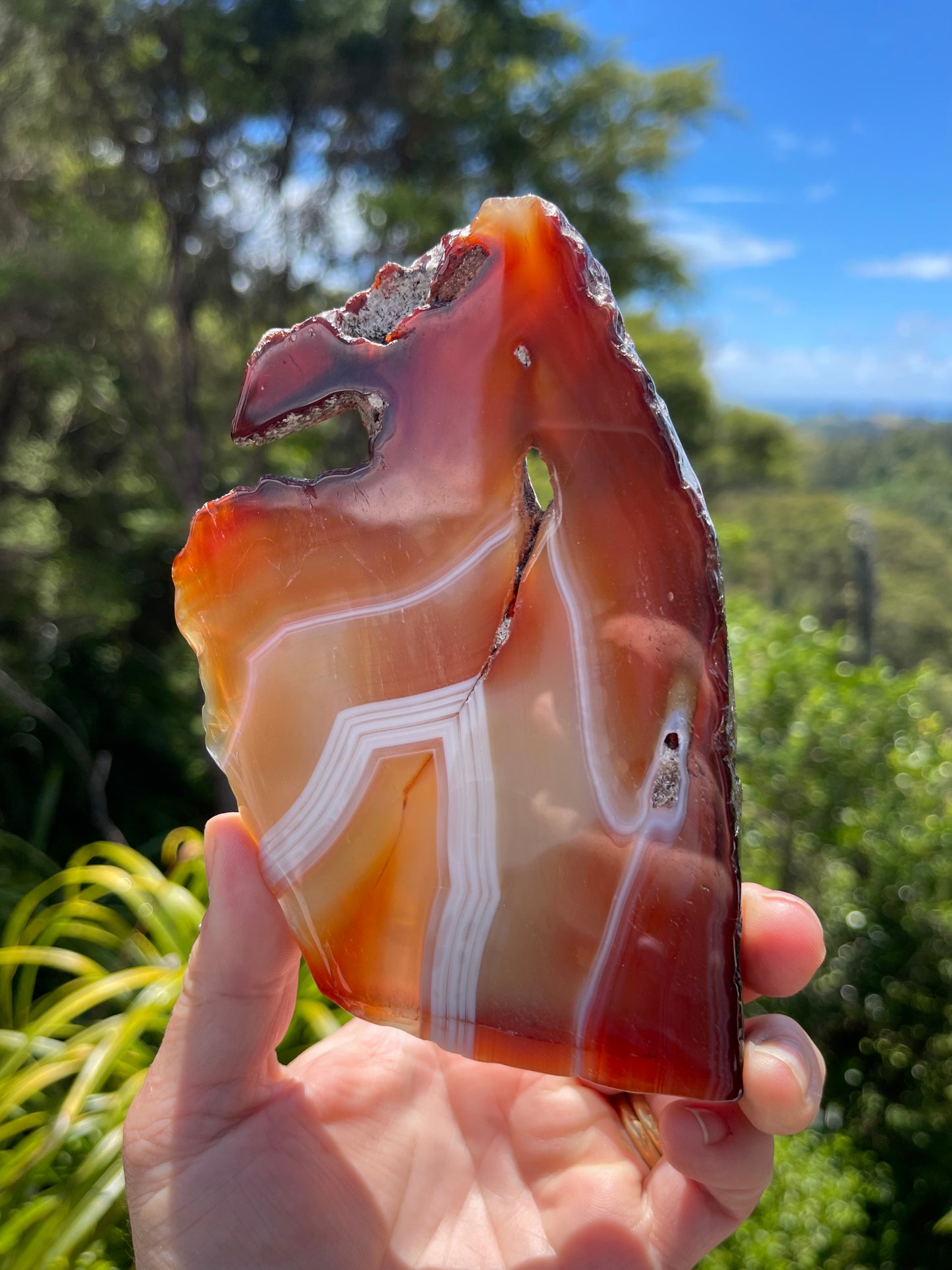 Carnelian Agate Slice