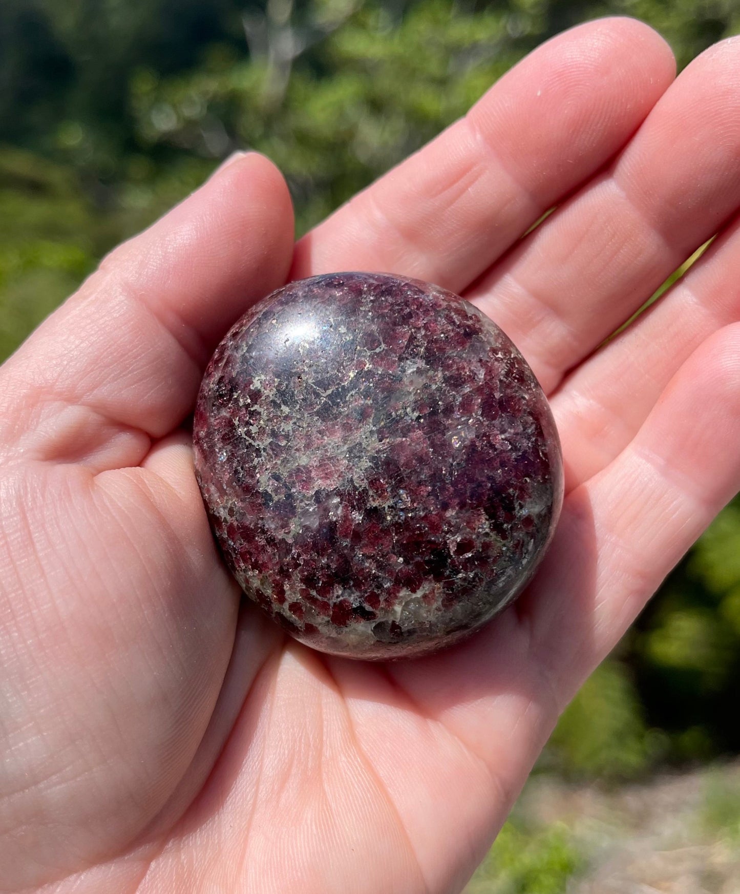 Garnet-Grenatite Puffy Palm Stone