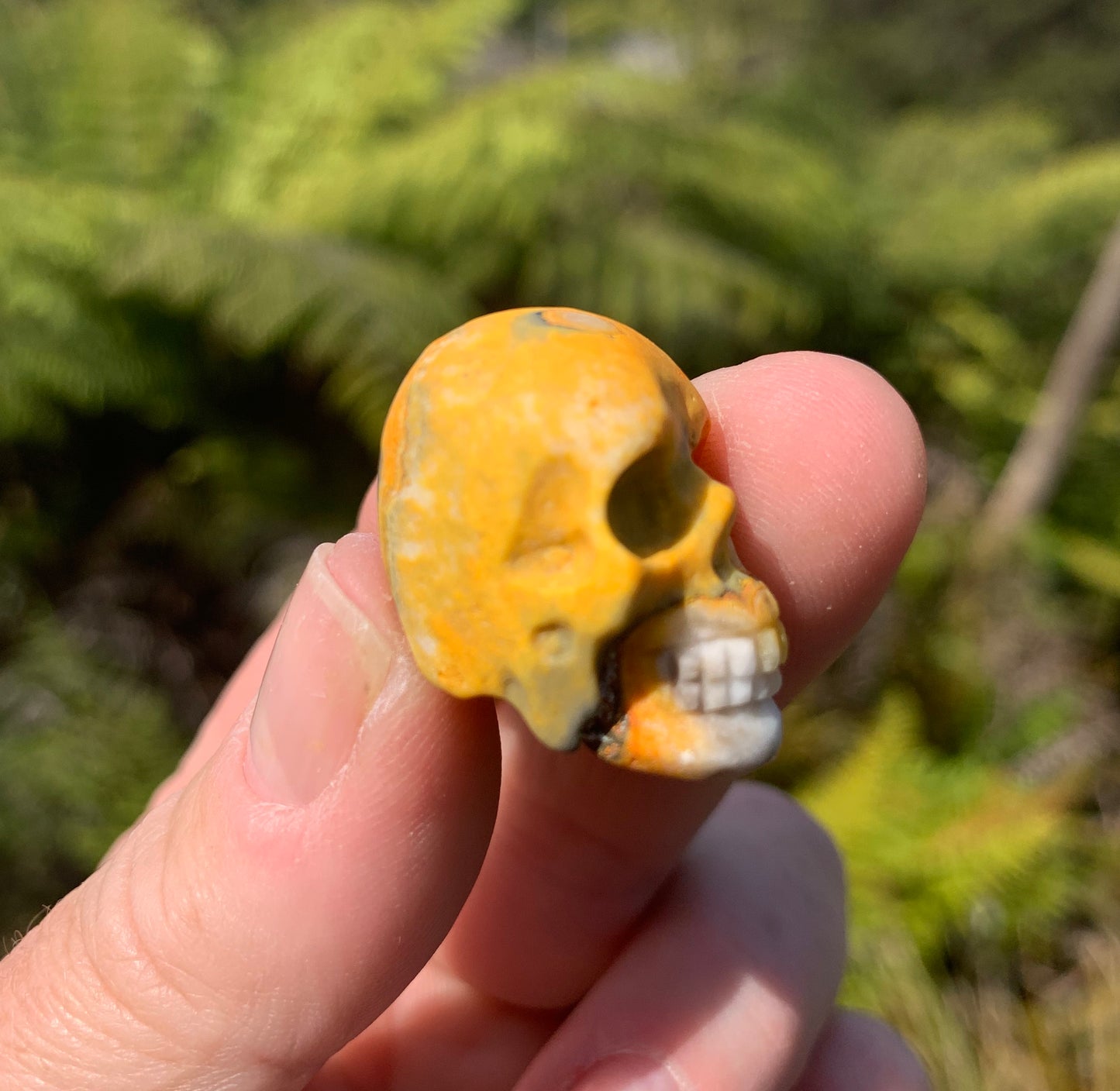 Bumblebee Jasper Skull