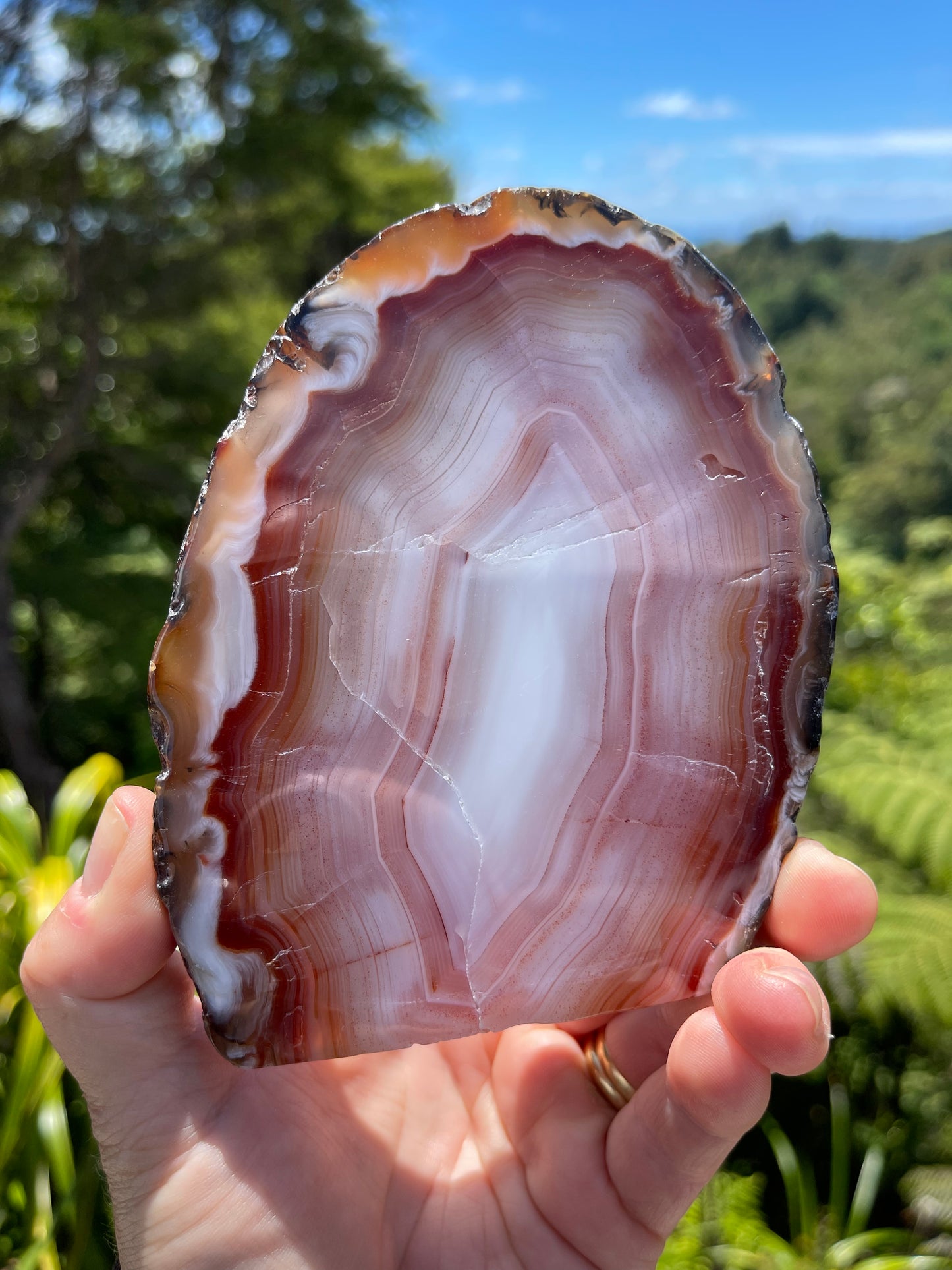 Carnelian Agate Slice