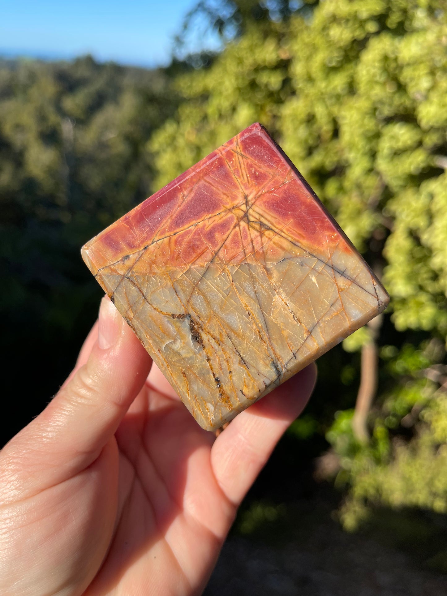 Cherry Creek Jasper Large Cube