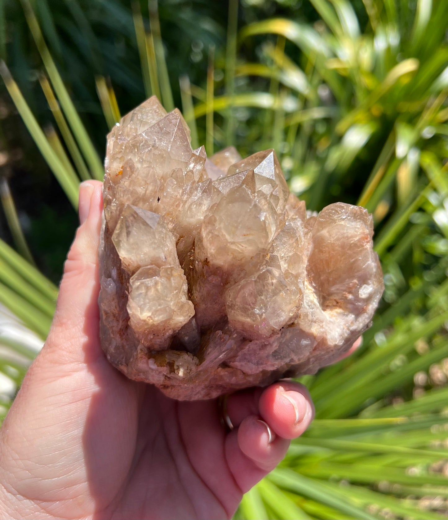 Kundalini Smoky Citrine Cluster