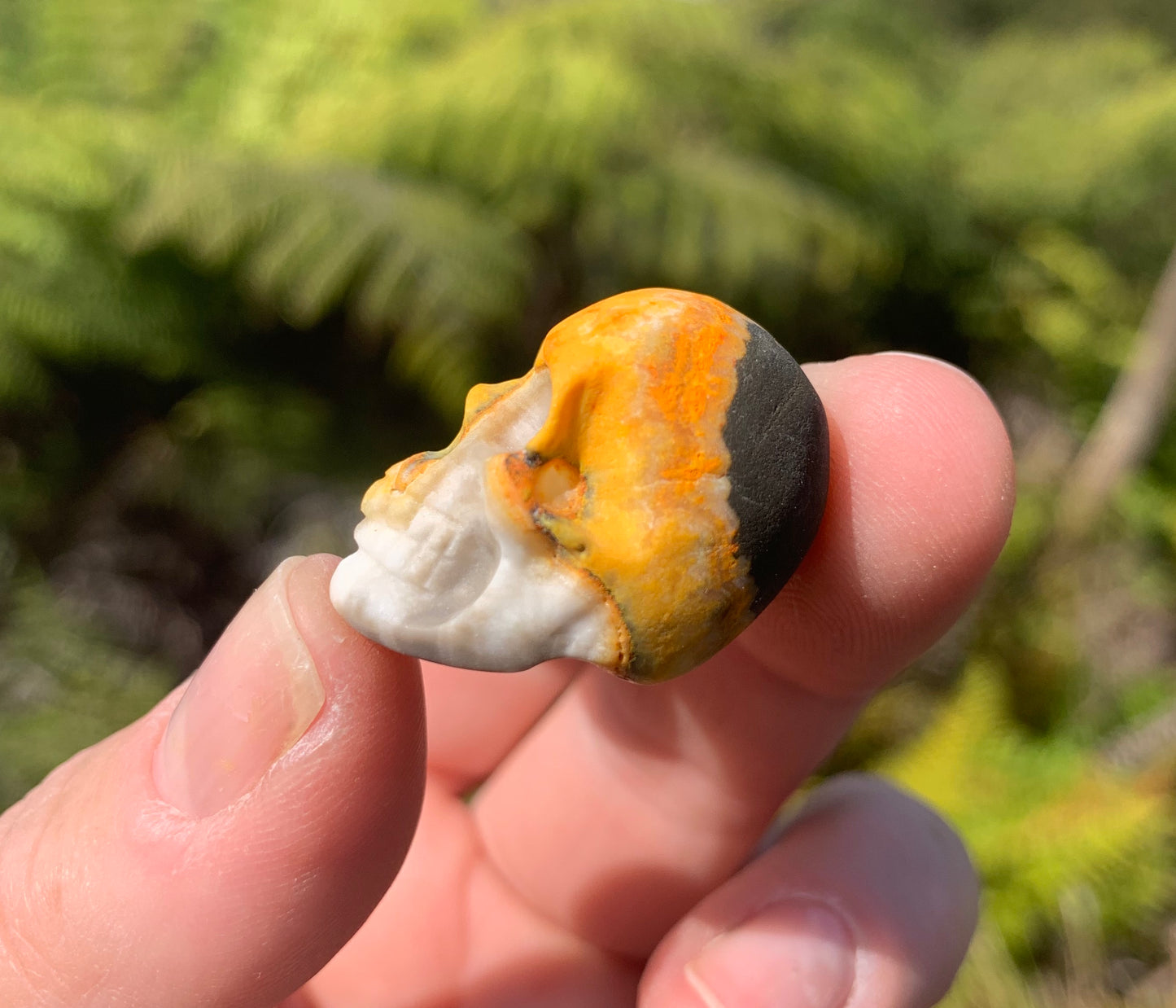 Bumblebee Jasper Skull