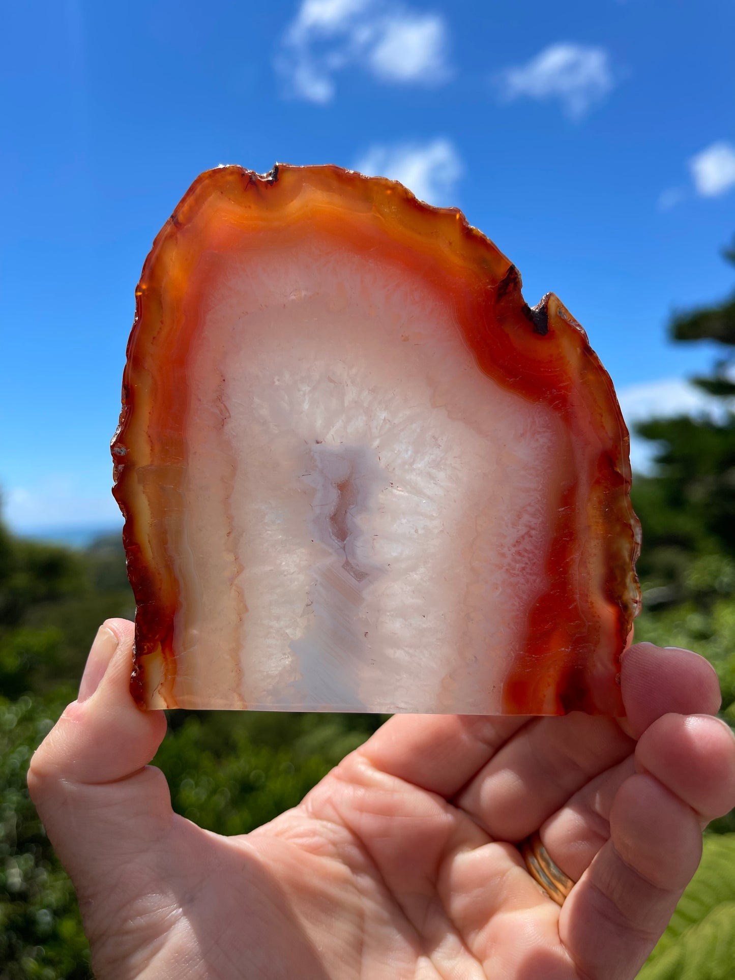 Carnelian Agate Slice