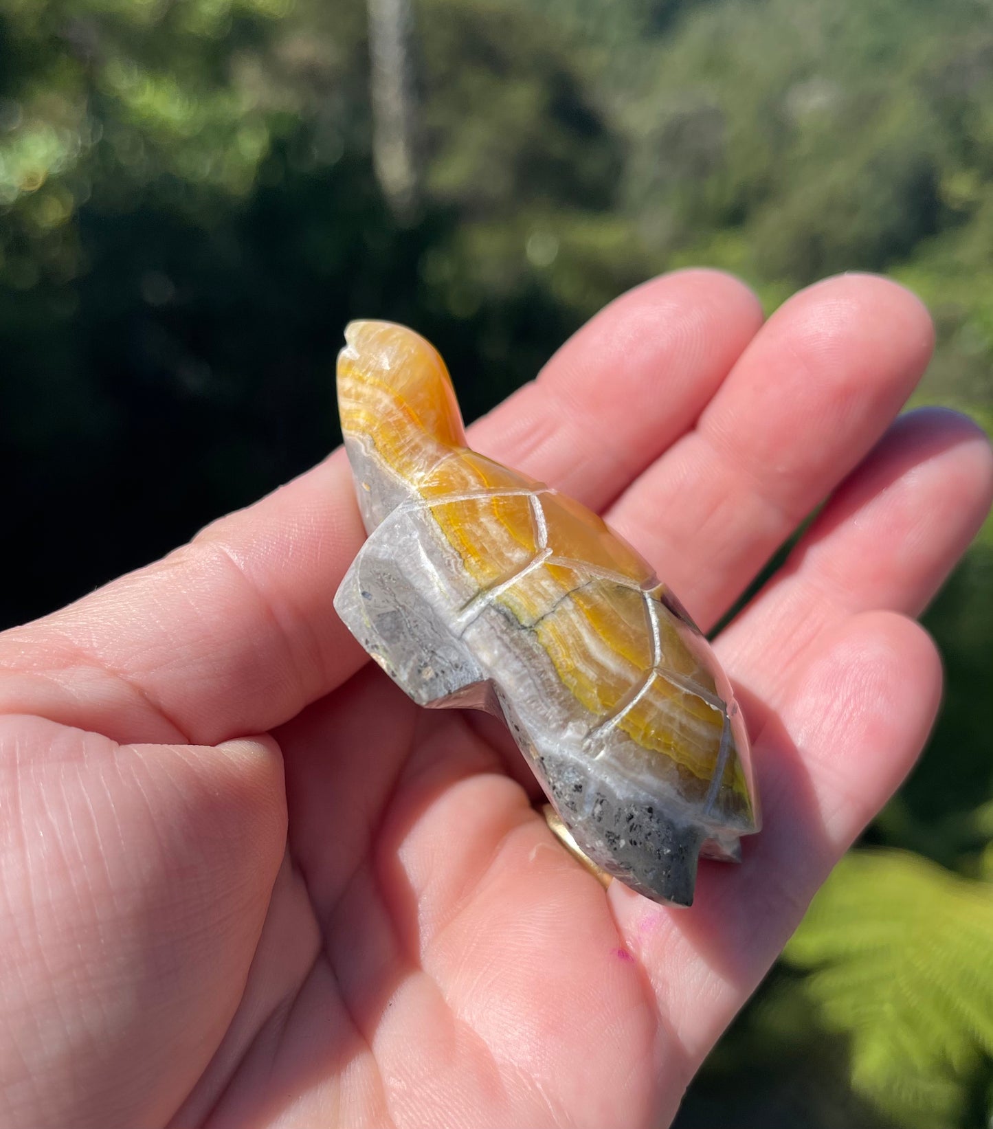 Bumblebee Jasper Carved Stone Turtle