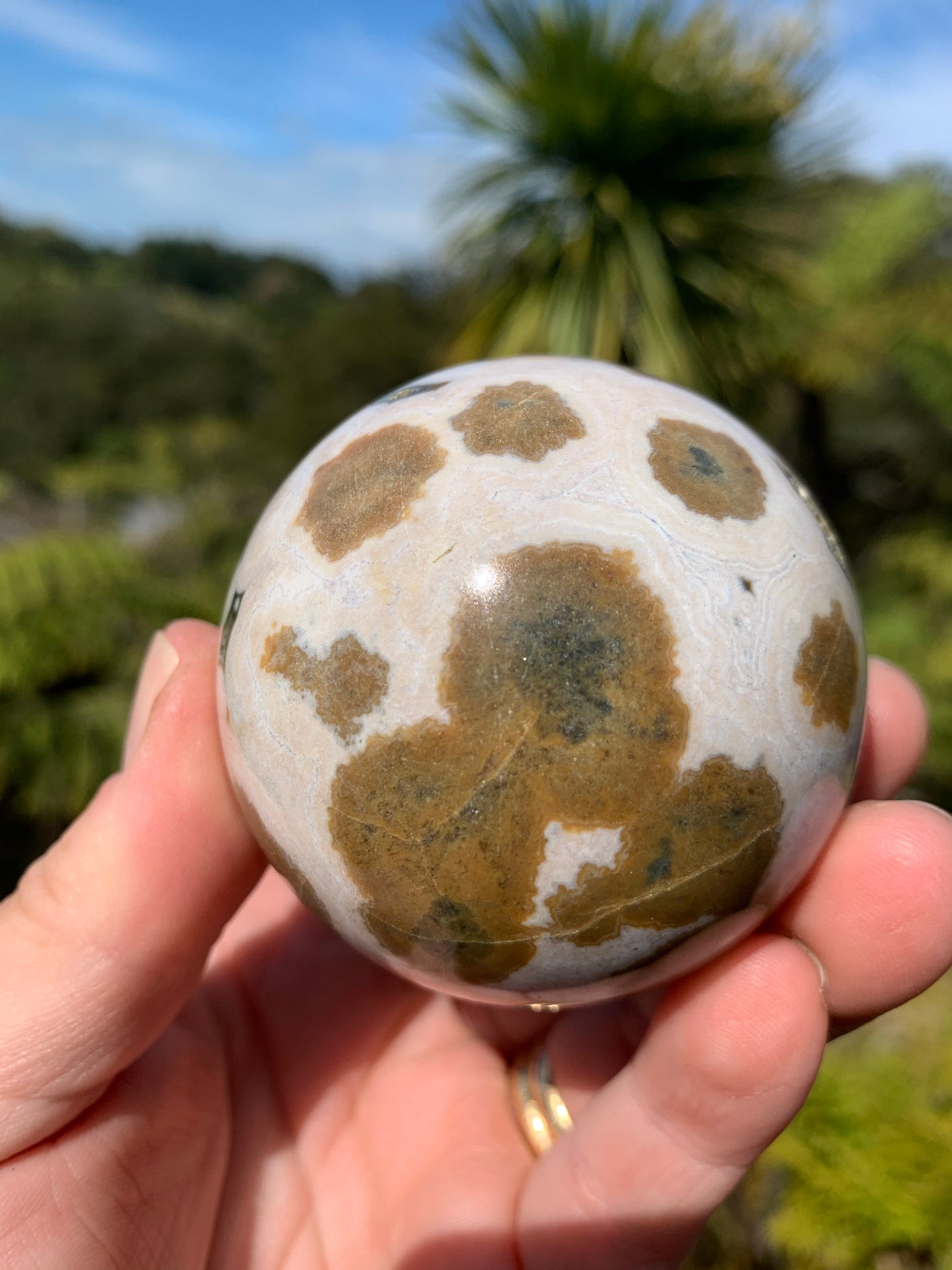 Orbicular Ocean Jasper Sphere