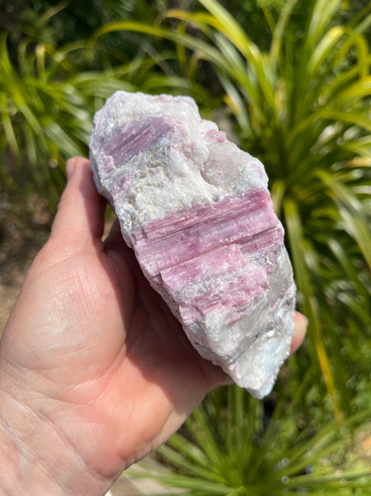Pink Tourmaline, lepidolite and Muscovite in Quartz