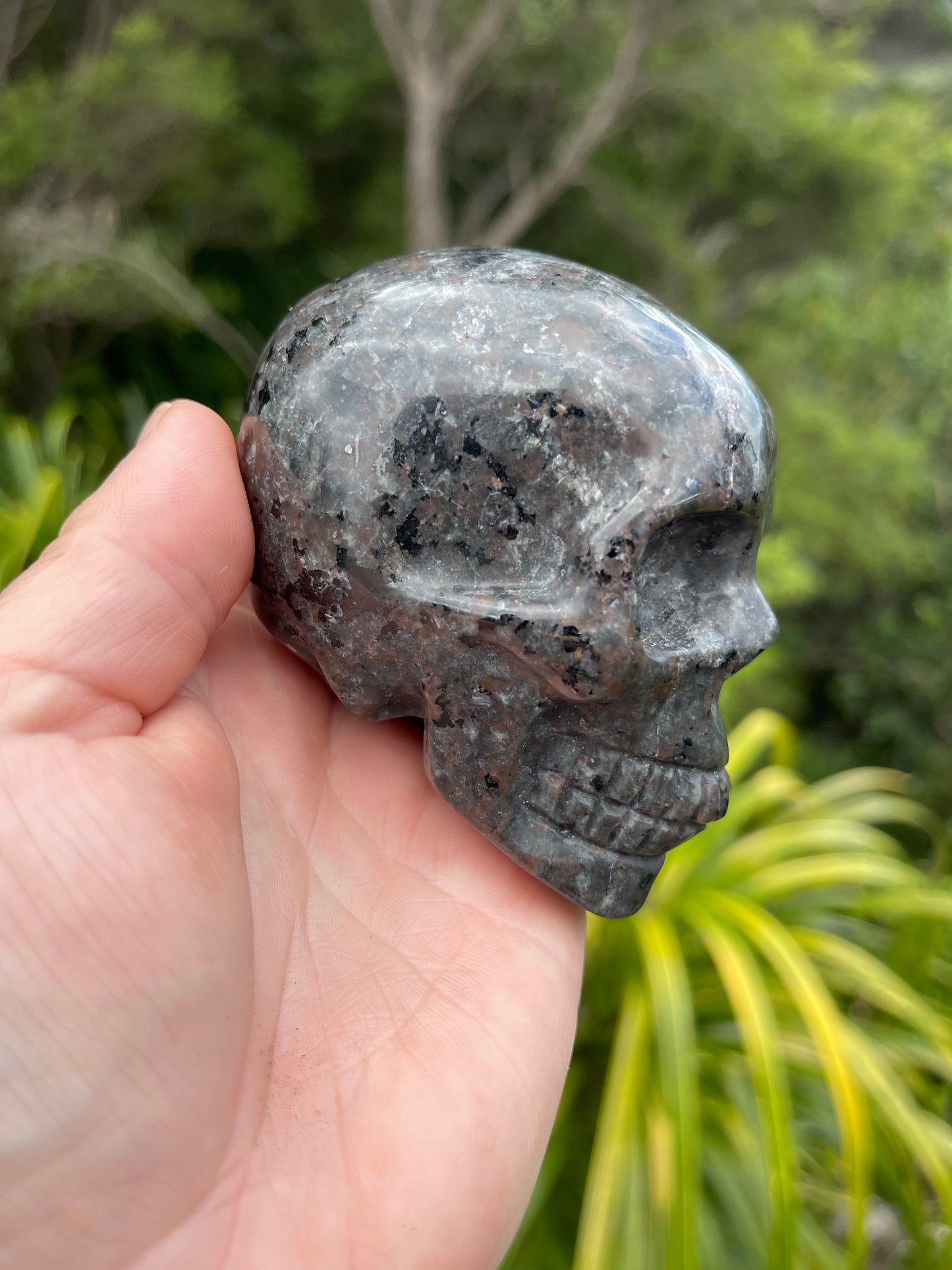 Yooperlite/Ultra Violet Sodalite Skull