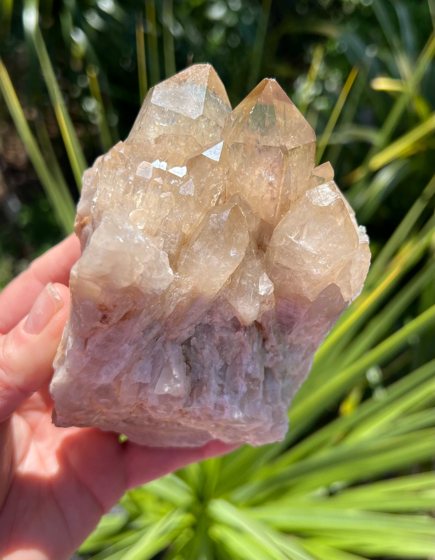 Kundalini Citrine Cluster