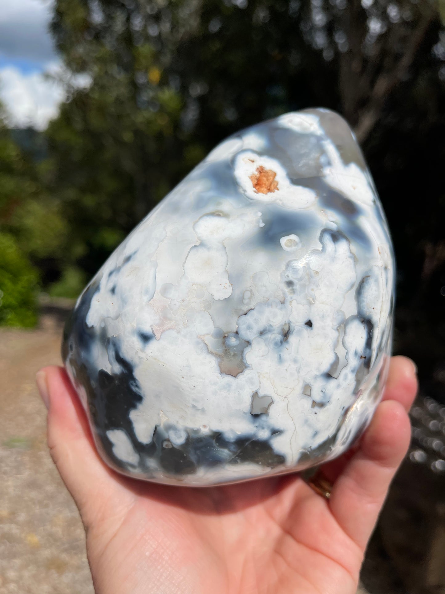 Orca Agate Freeform