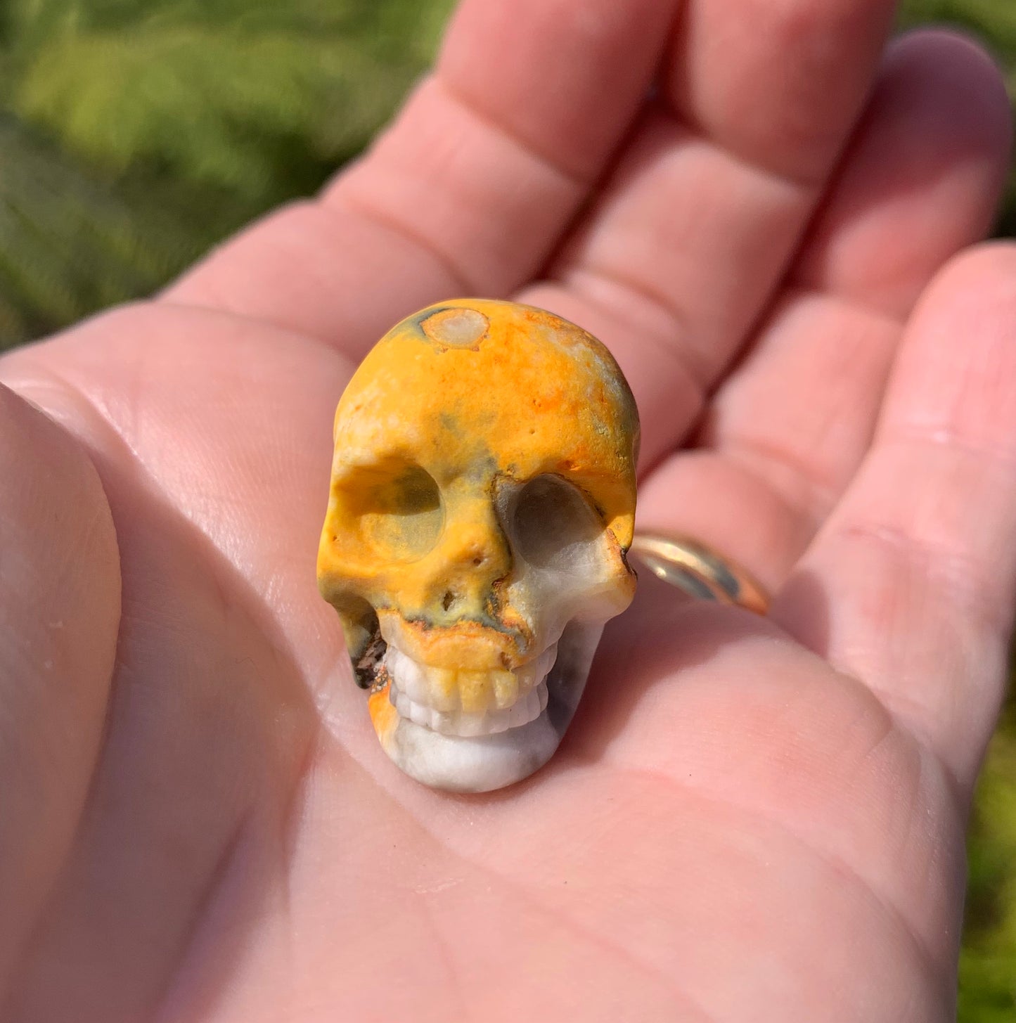 Bumblebee Jasper Skull