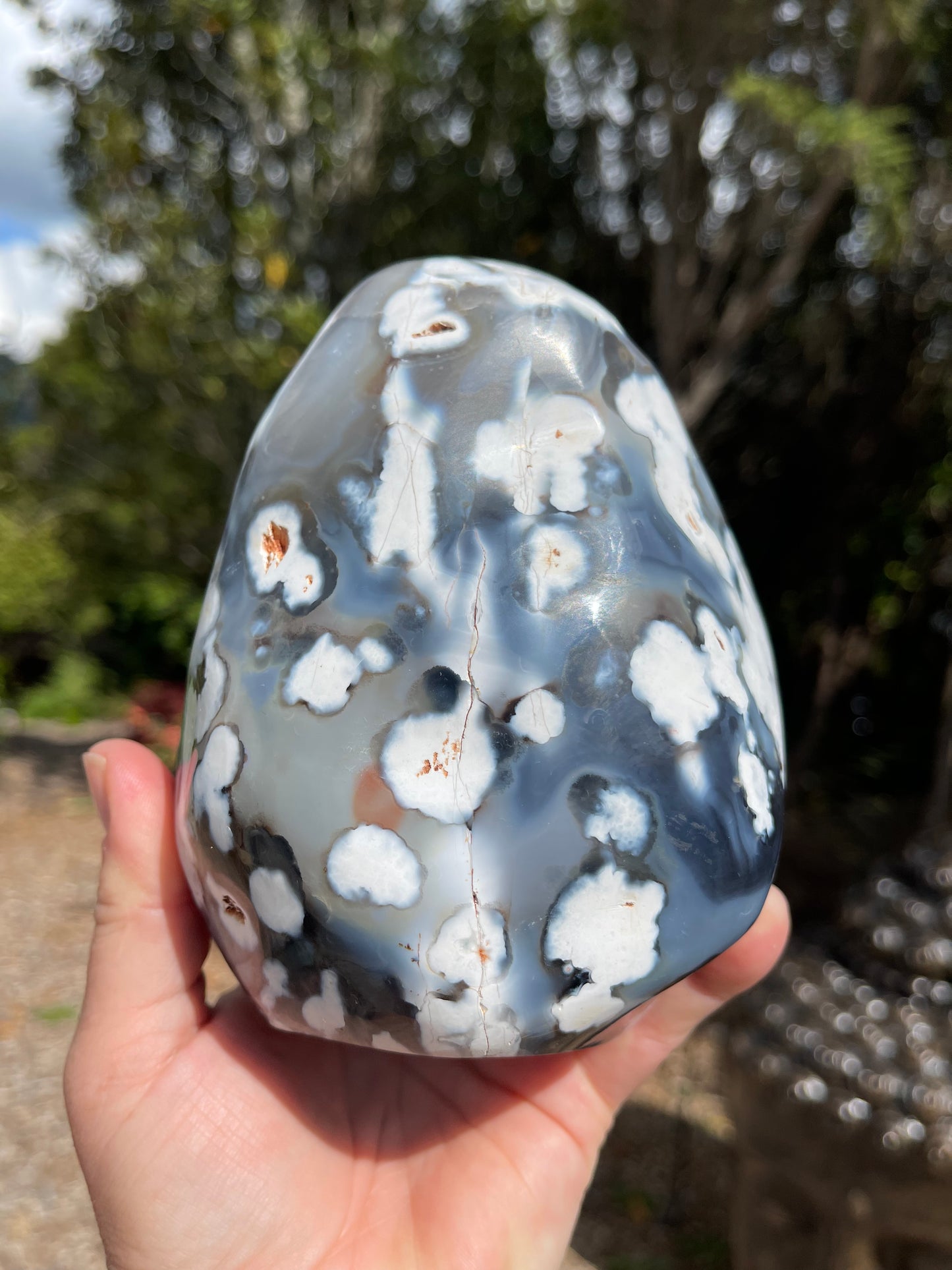 Orca Agate Freeform
