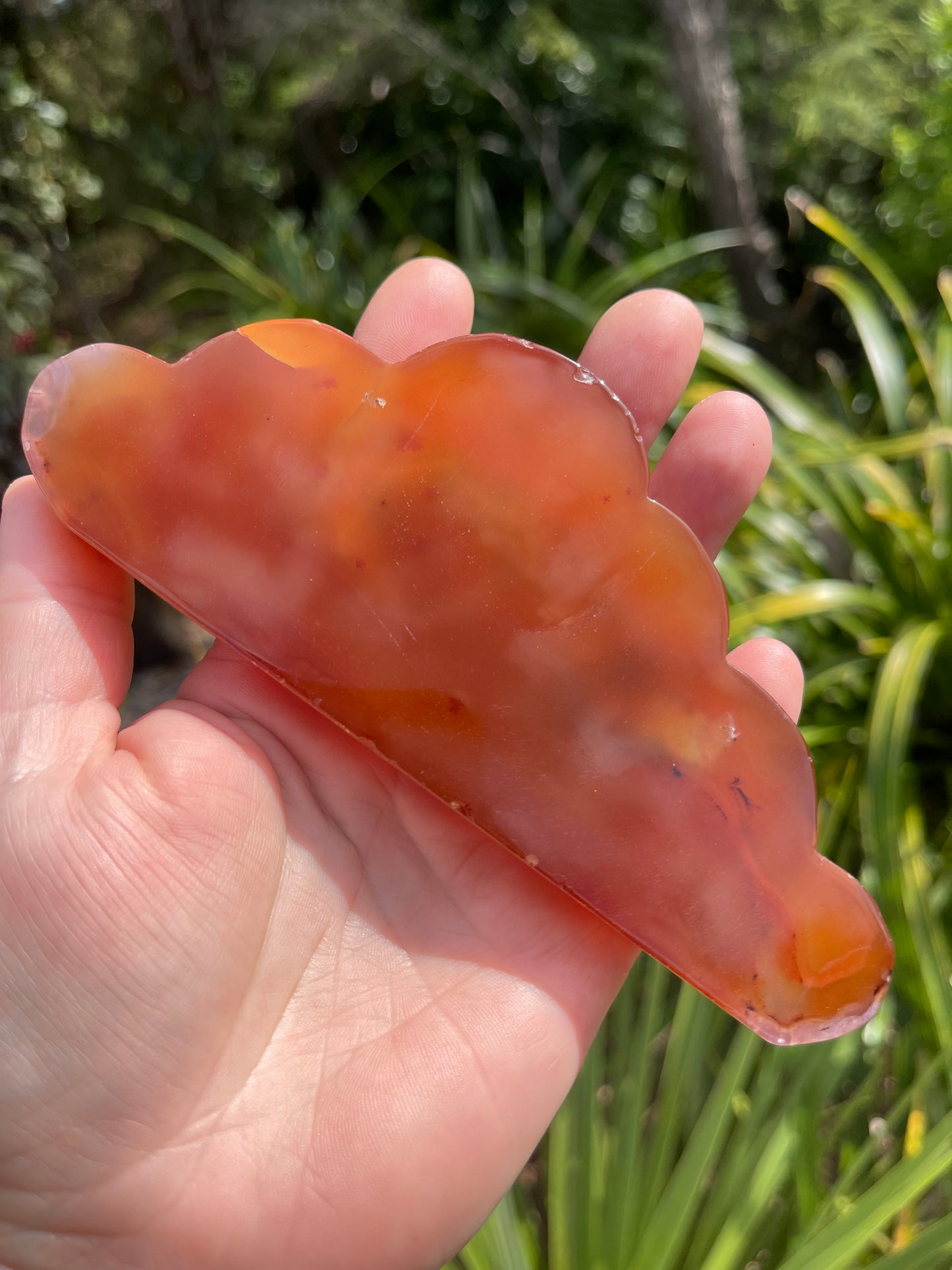 Carnelian Cloud