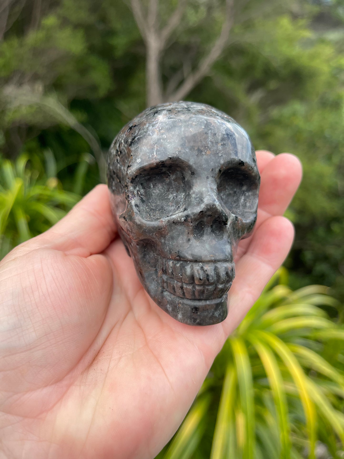 Yooperlite/Ultra Violet Sodalite Skull