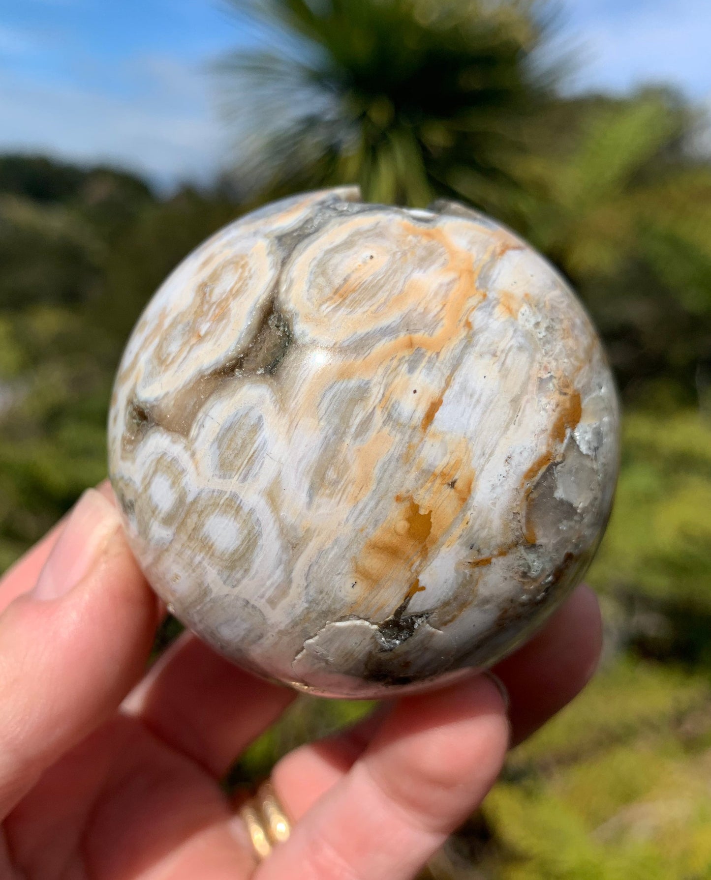 Orbicular Ocean Jasper Sphere