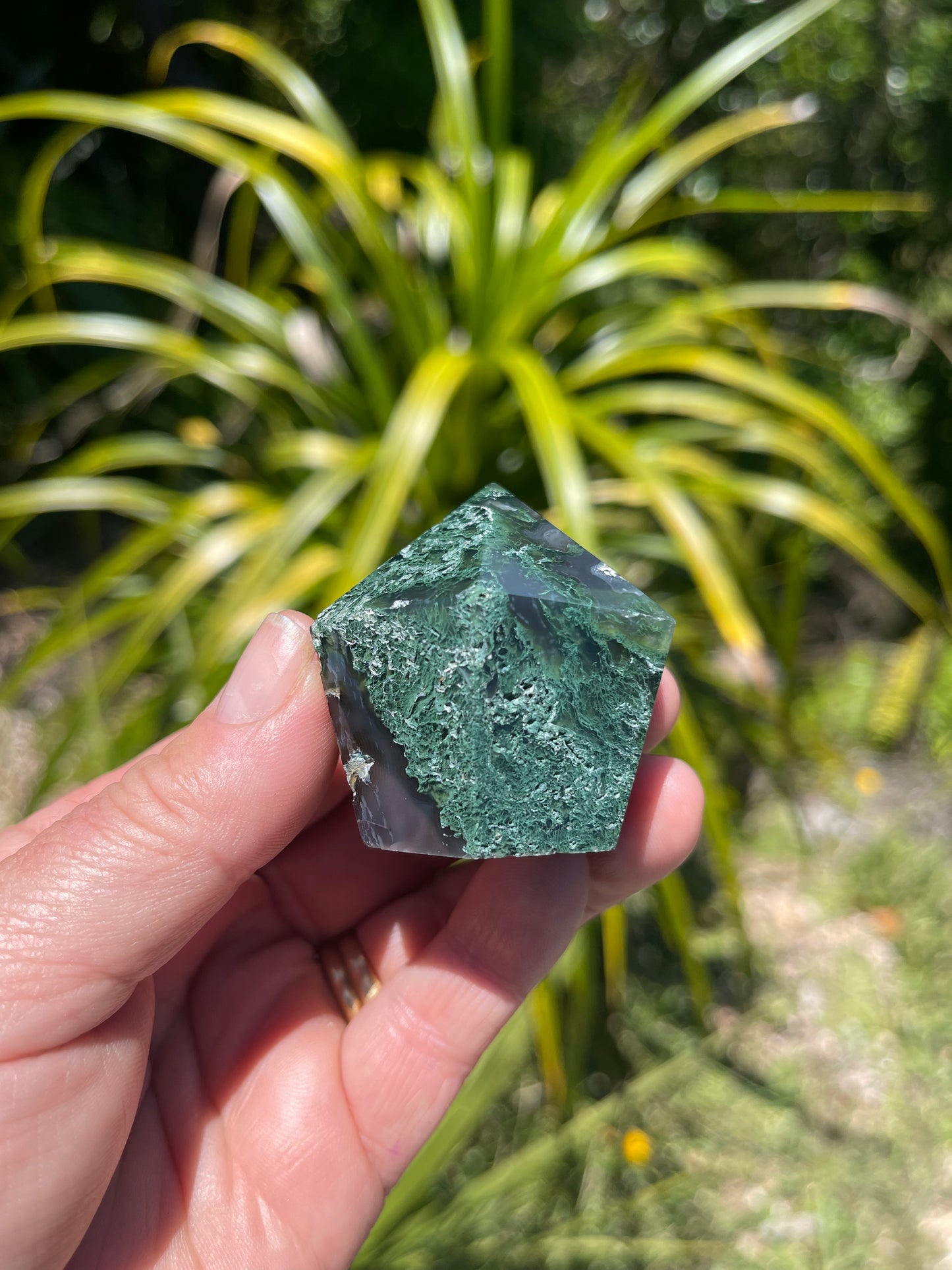 Moss Agate Point