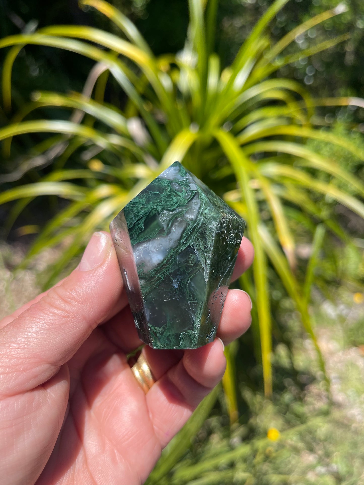 Moss Agate Point