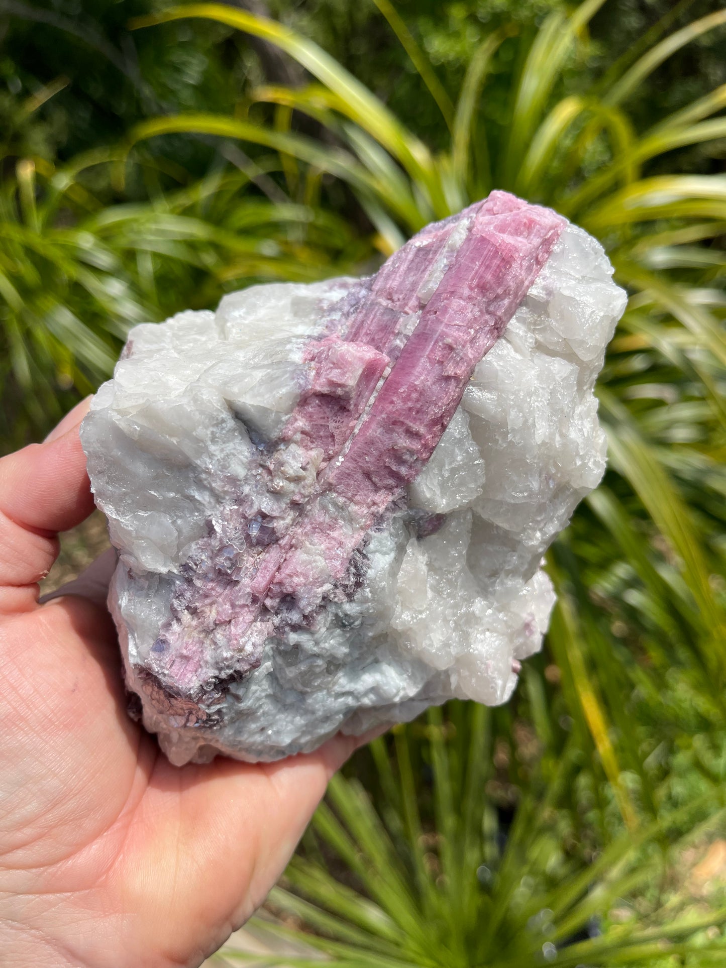 Pink Tourmaline, lepidolite and Muscovite in Quartz