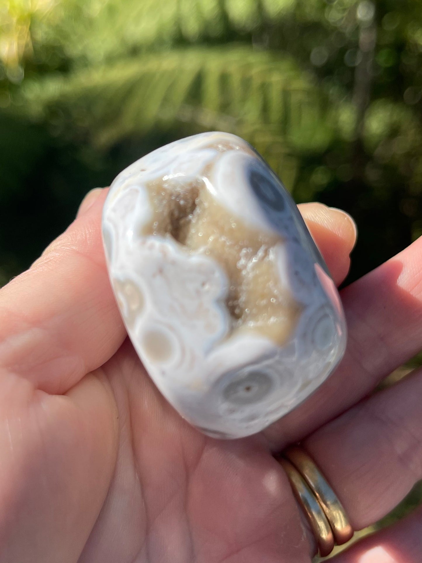 Orbicular Ocean Jasper Palm Stone