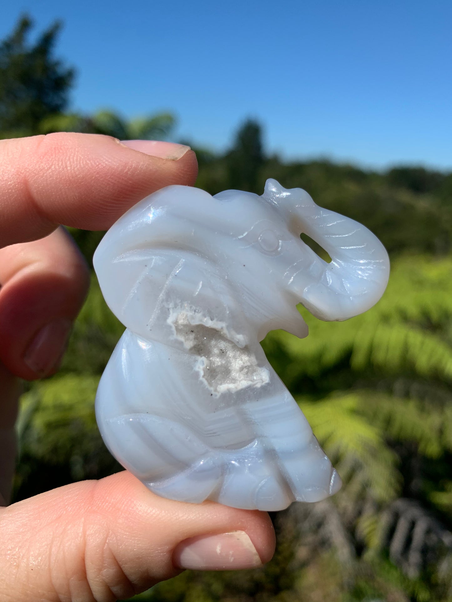 Agate Elephant