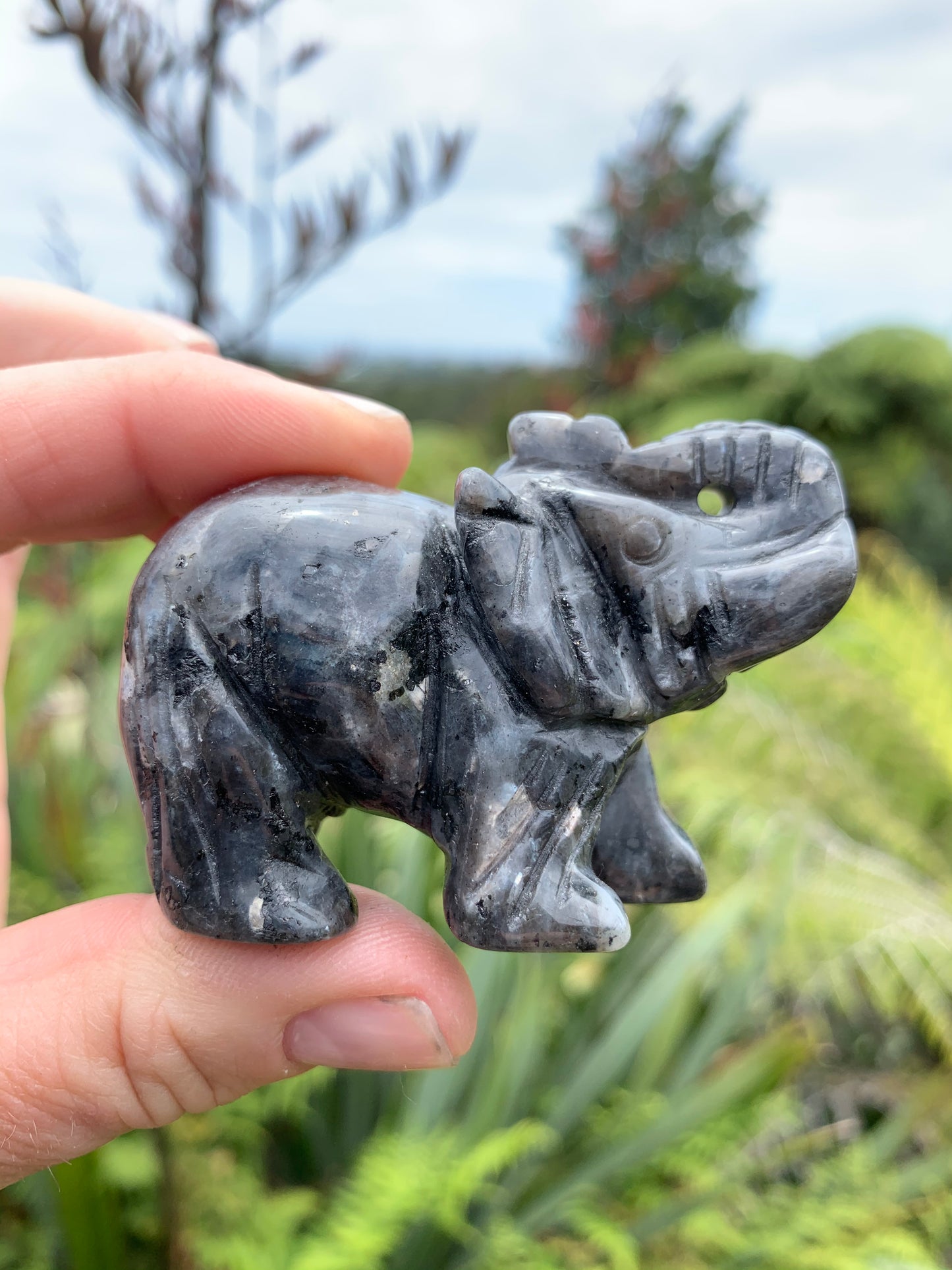 Cute Small Larkivite Elephant