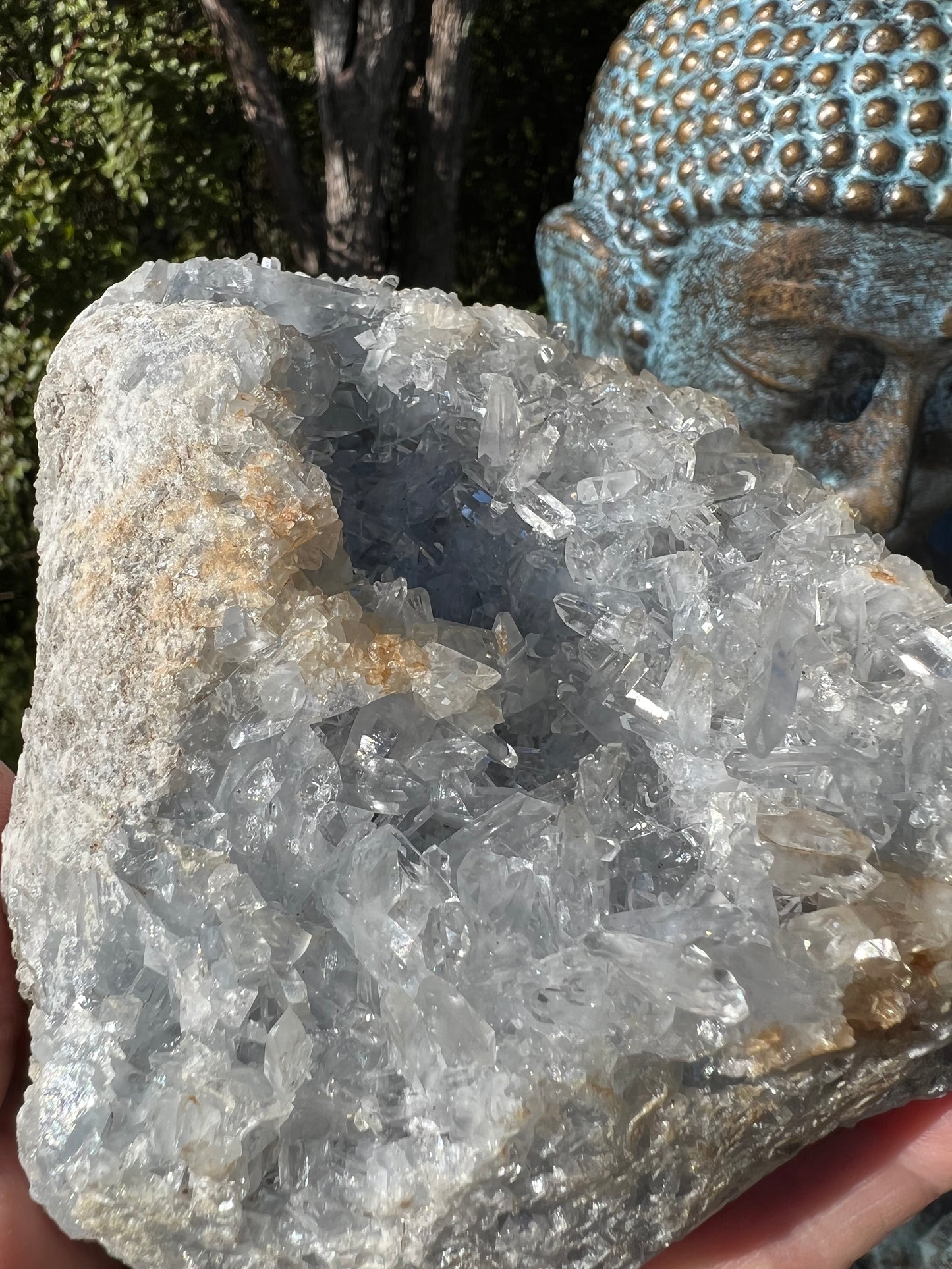 Celestite Geode Freeform