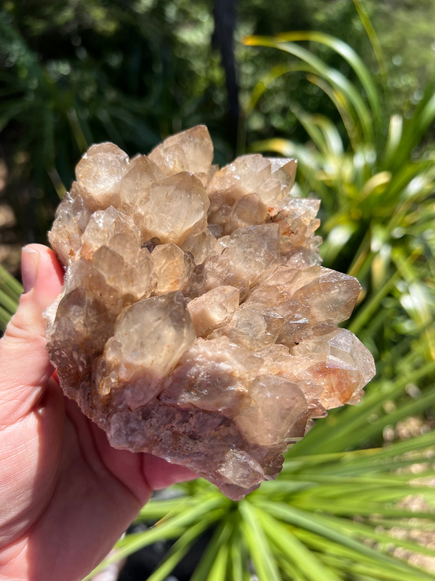 Kundalini Smoky Citrine Cluster