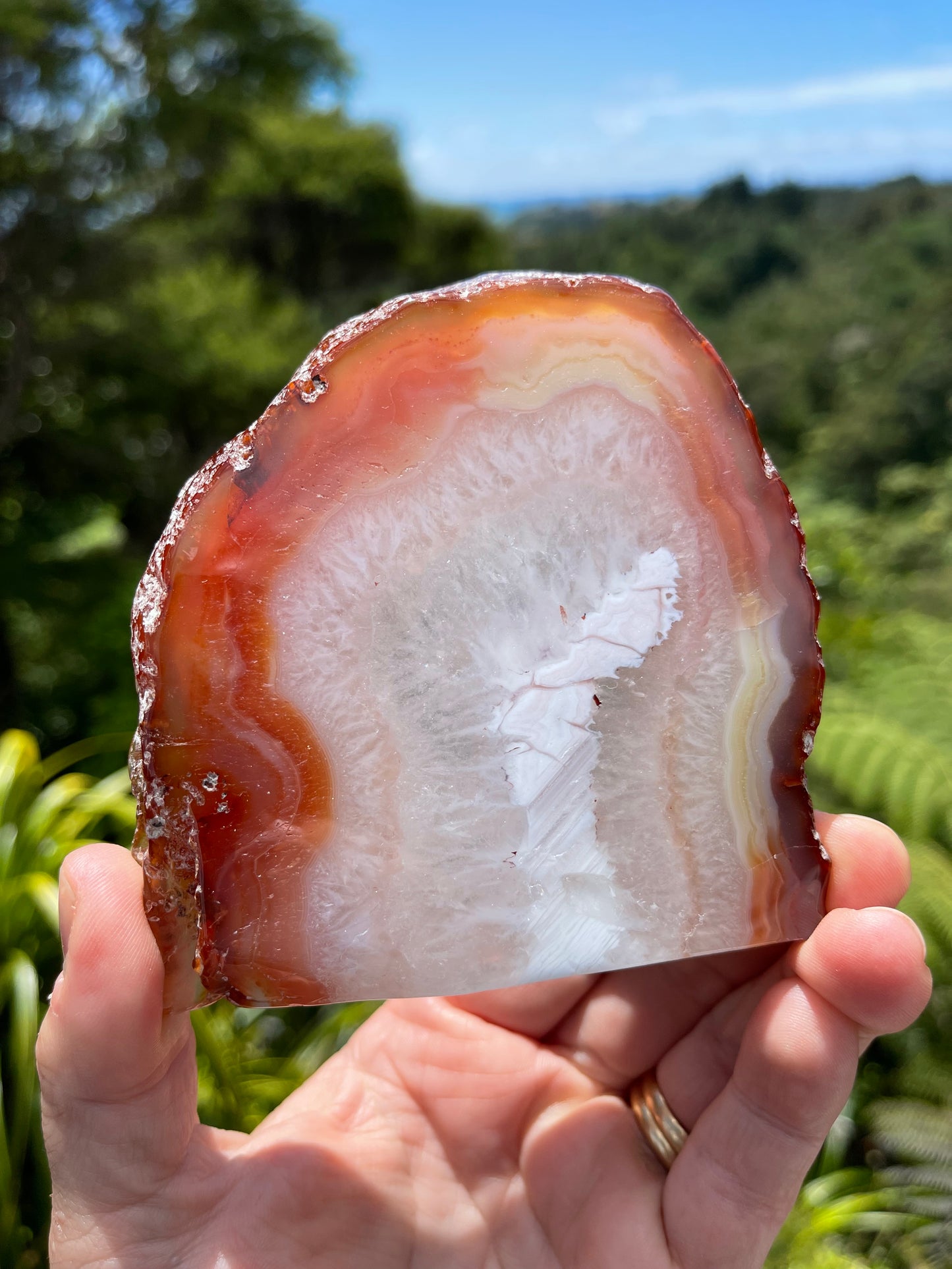 Carnelian Agate Slice