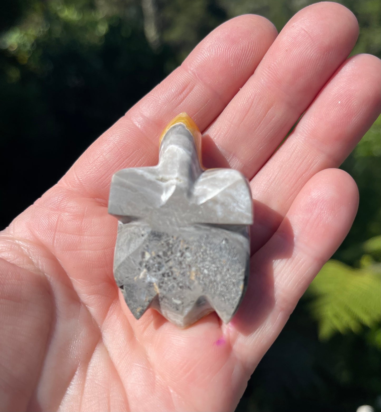 Bumblebee Jasper carved stone Turtle