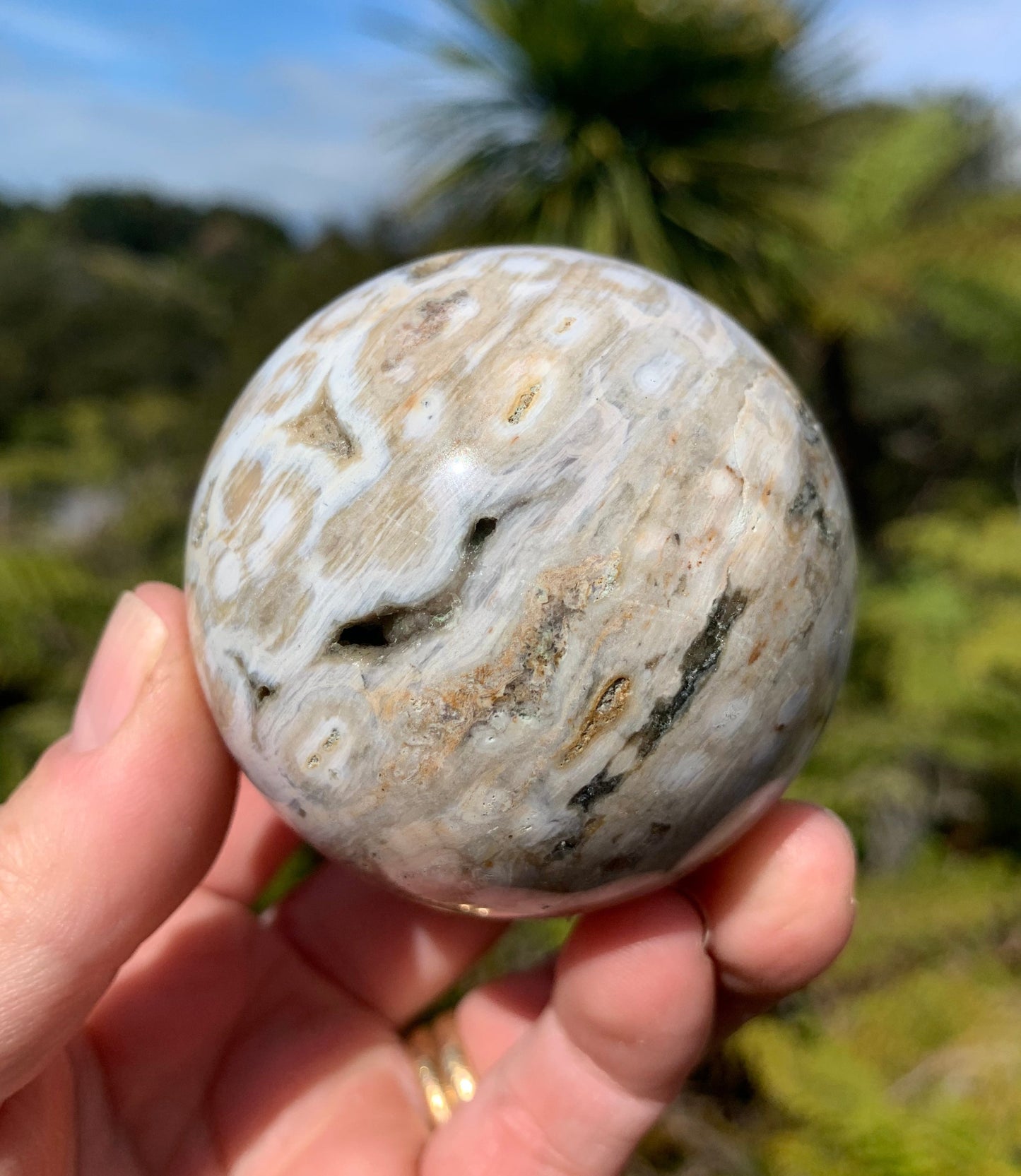 Orbicular Ocean Jasper Sphere