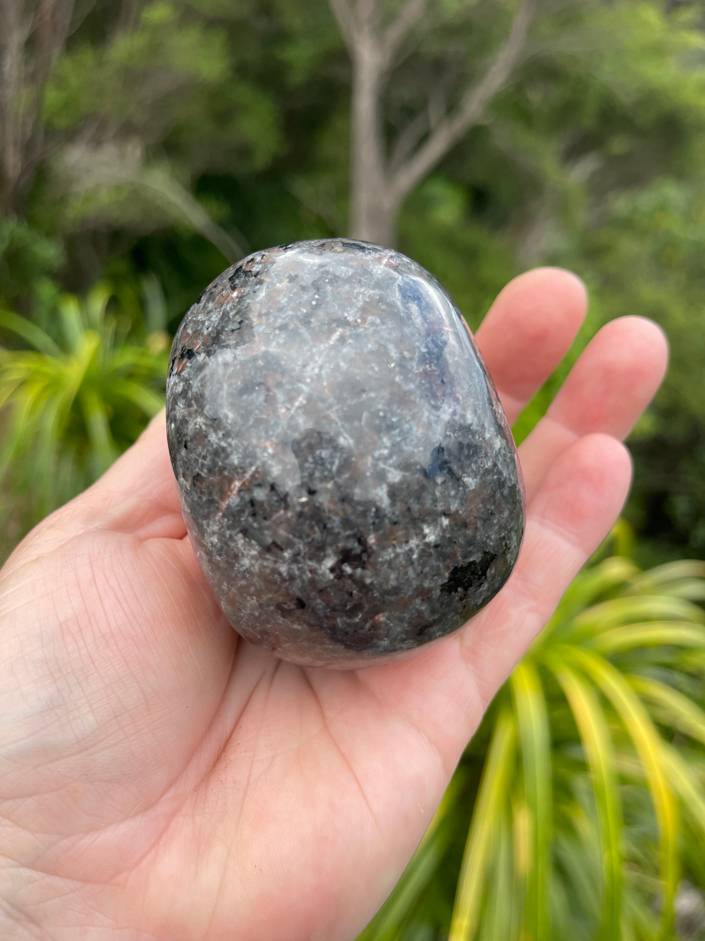 Yooperlite/Ultra Violet Sodalite Skull