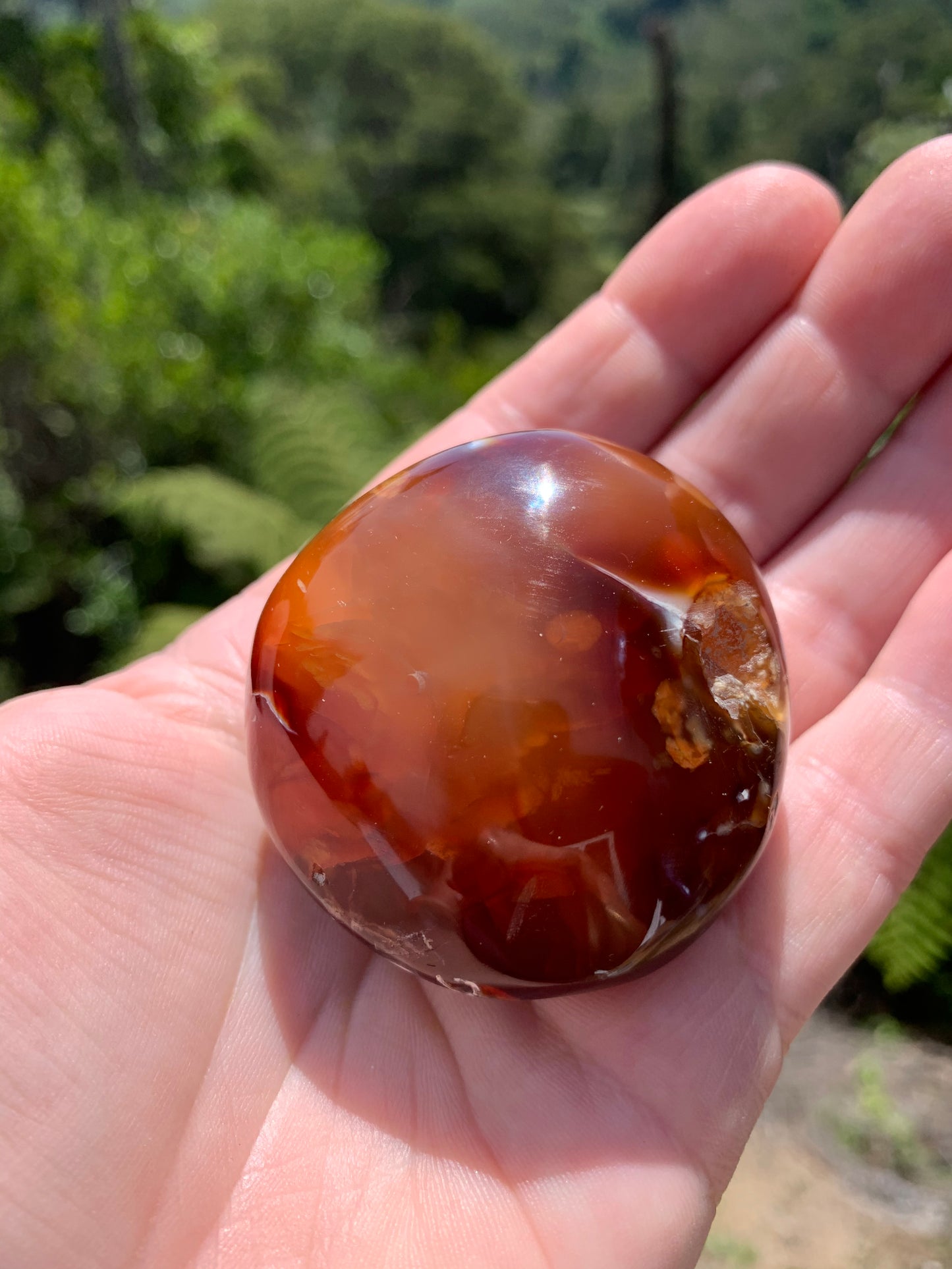 Beautiful Orca Carnelian Palm Stone