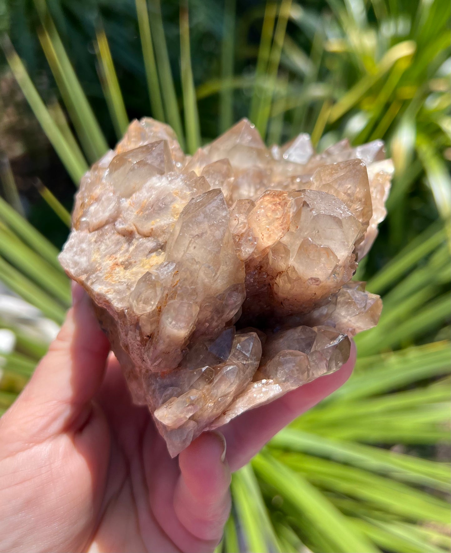 Kundalini Smoky Citrine Cluster