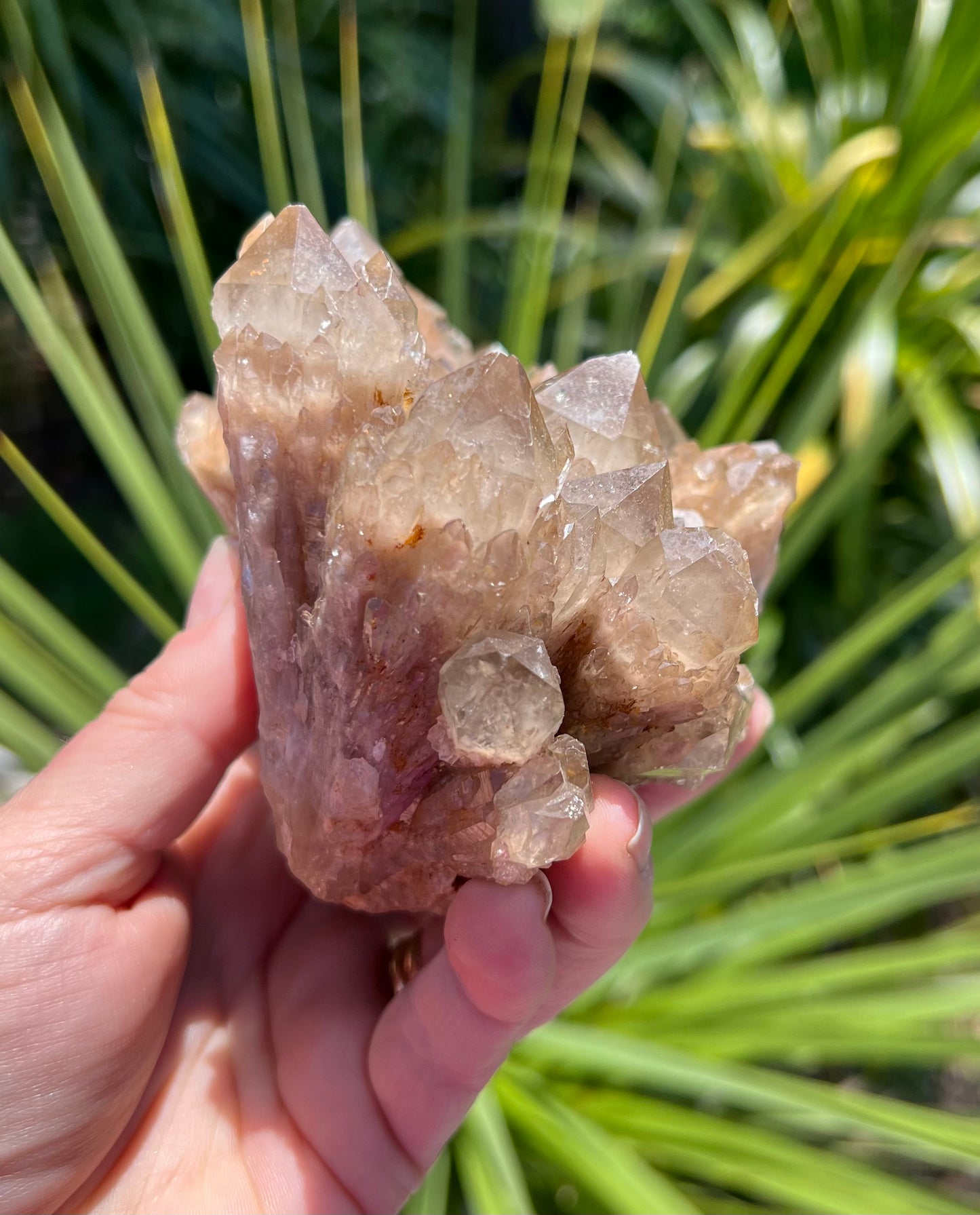Kundalini Smoky Citrine Cluster