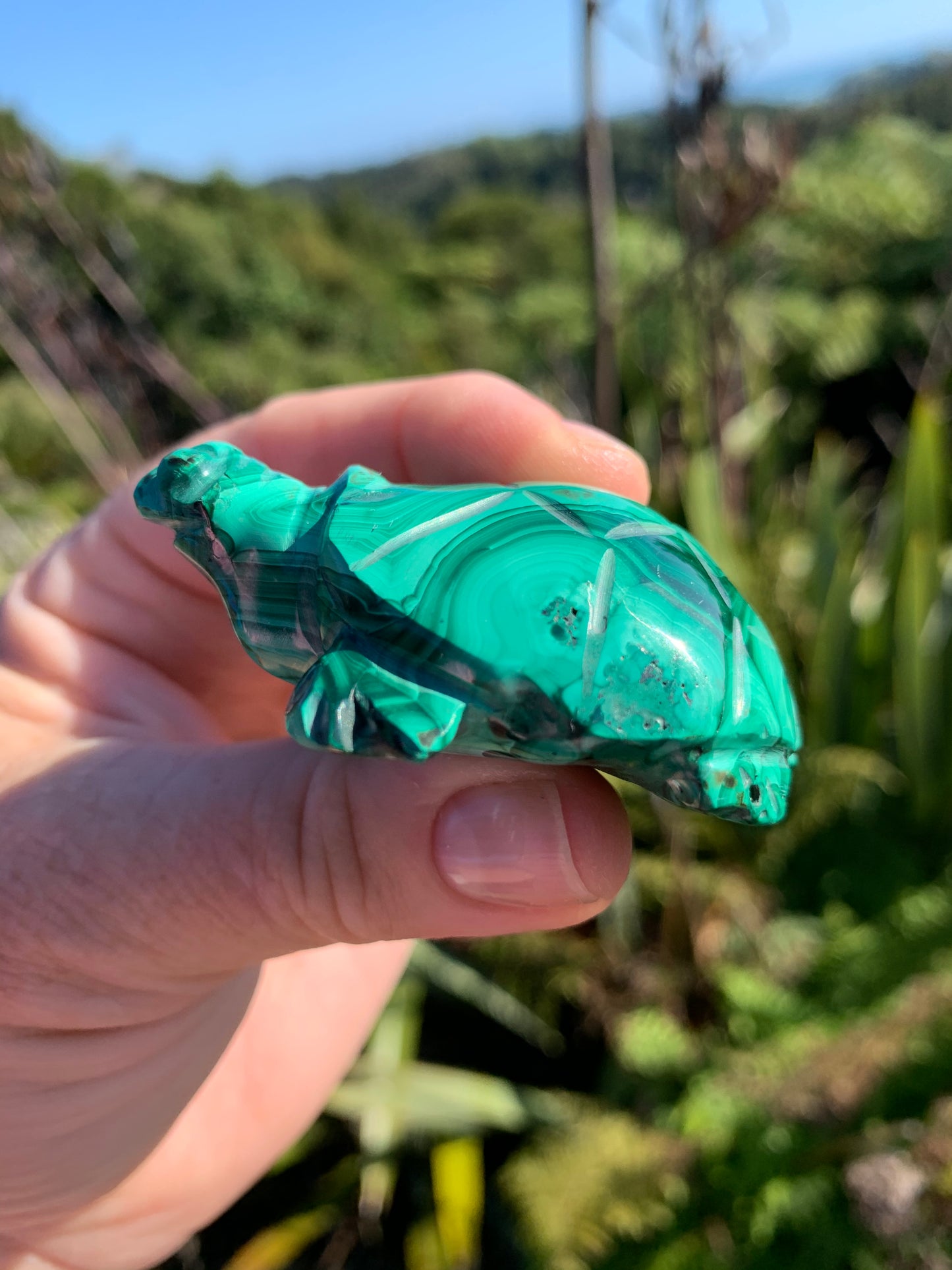 Malachite Carved Turtle