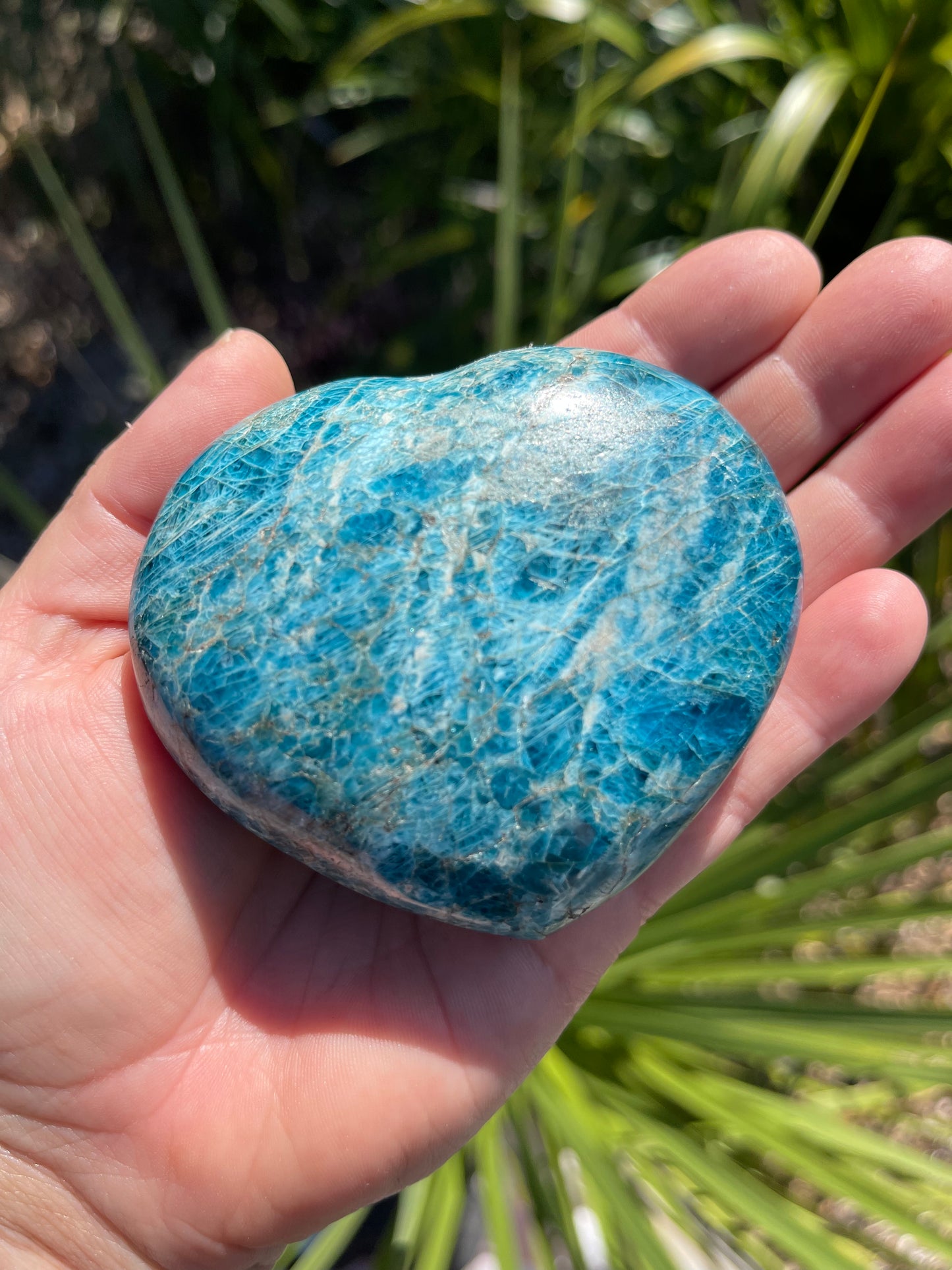 Apatite Heart