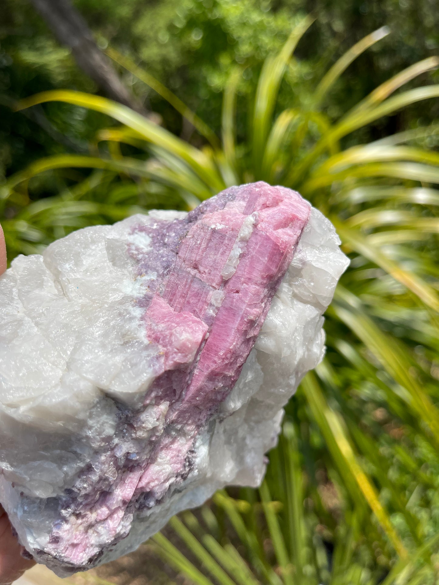 Pink Tourmaline, lepidolite and Muscovite in Quartz