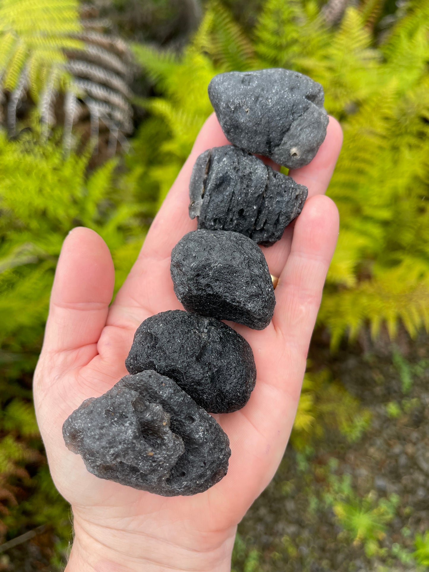 Agni Manitite, “Pearl of Divine Fire”